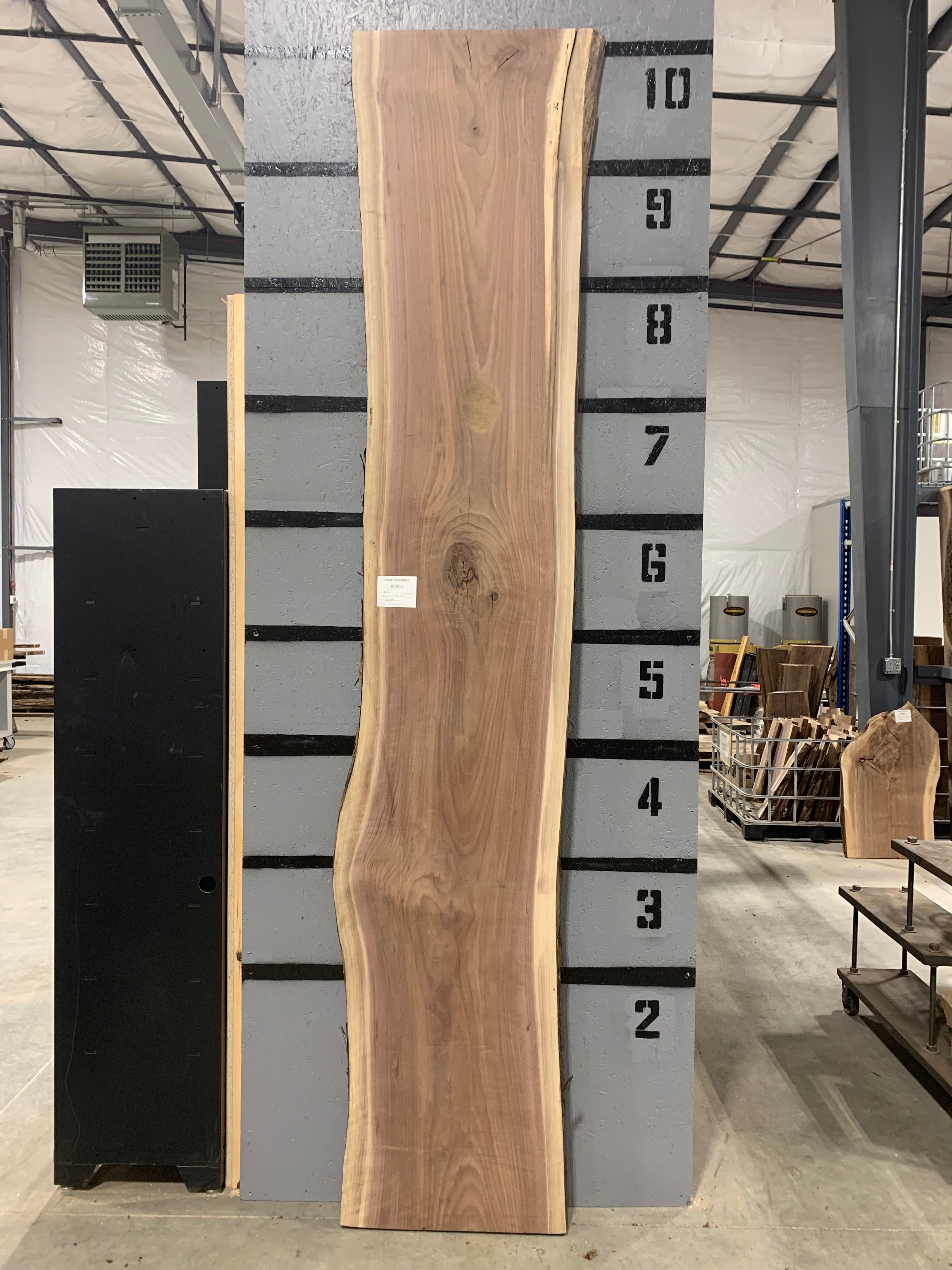 Black Walnut Slab | W116