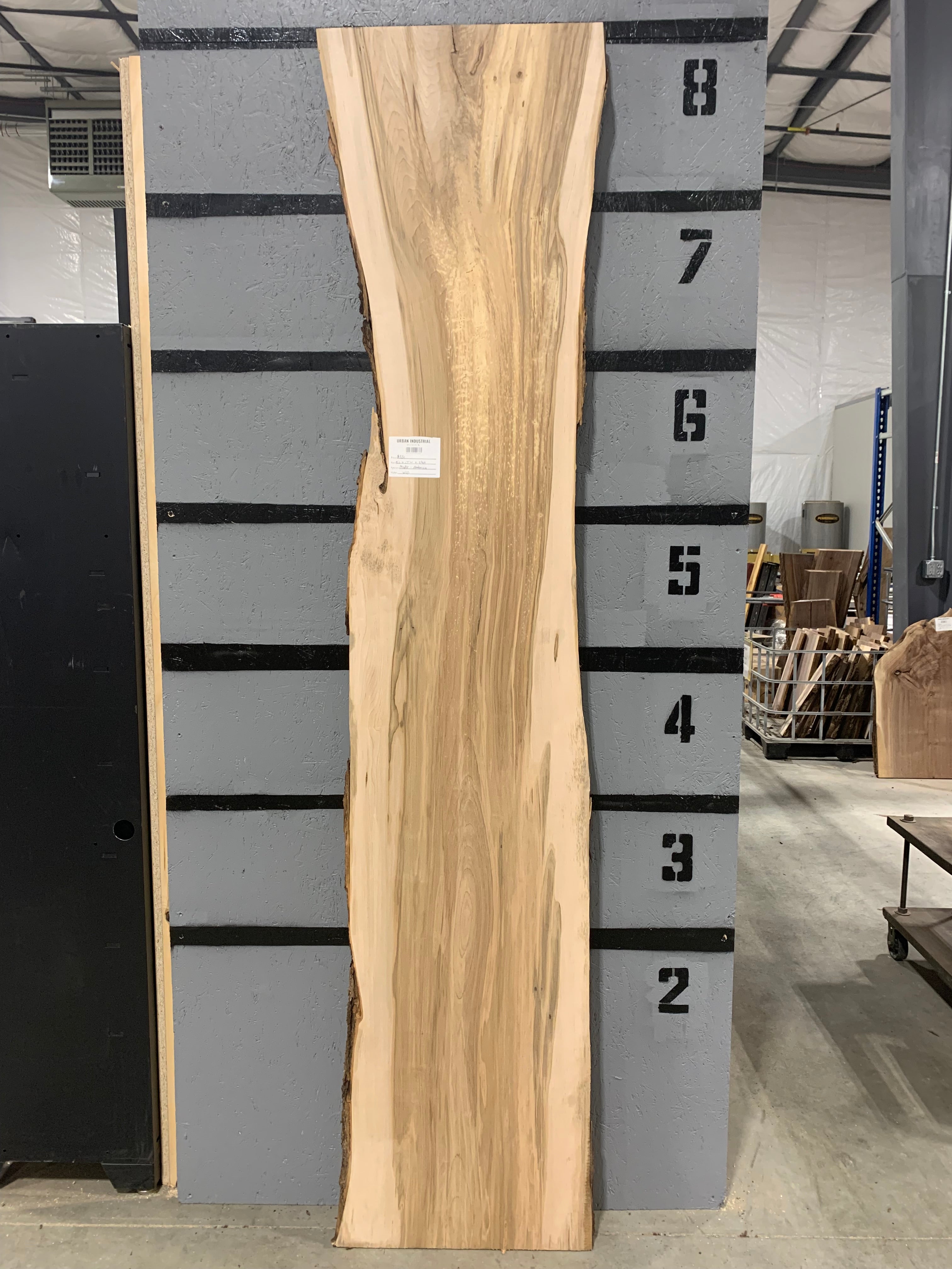 Ambrosia maple slab available for purchase at Urban Industrial Design.