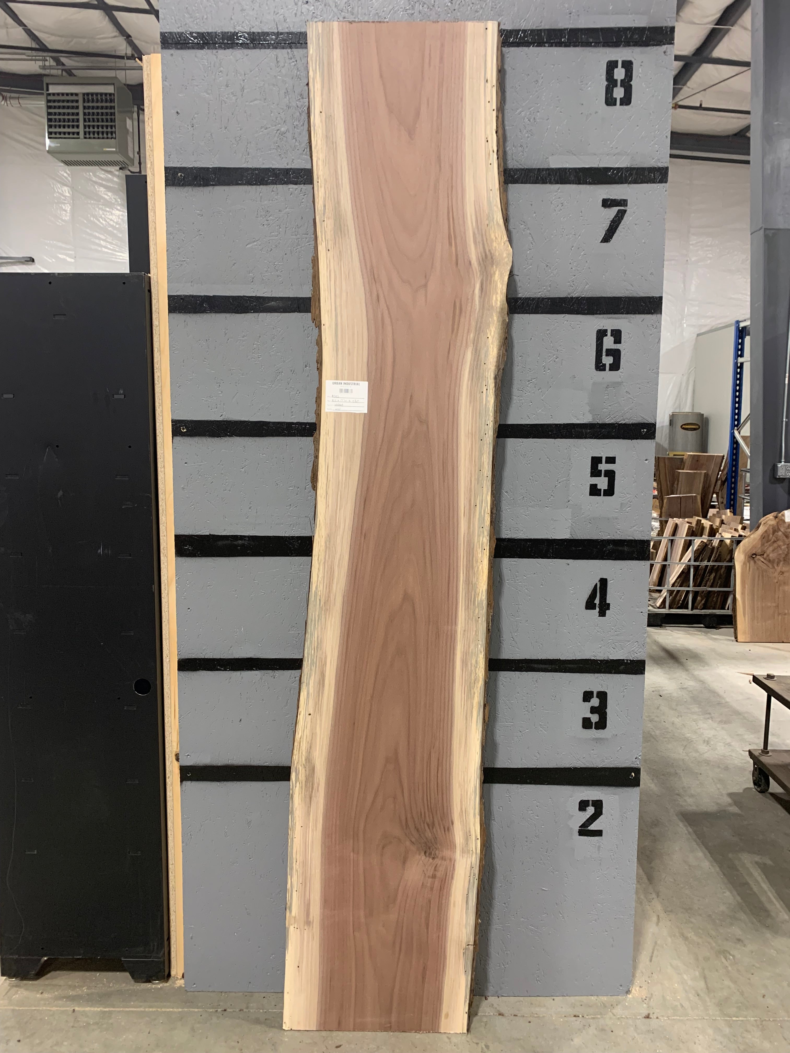 Black Walnut Slab | W122