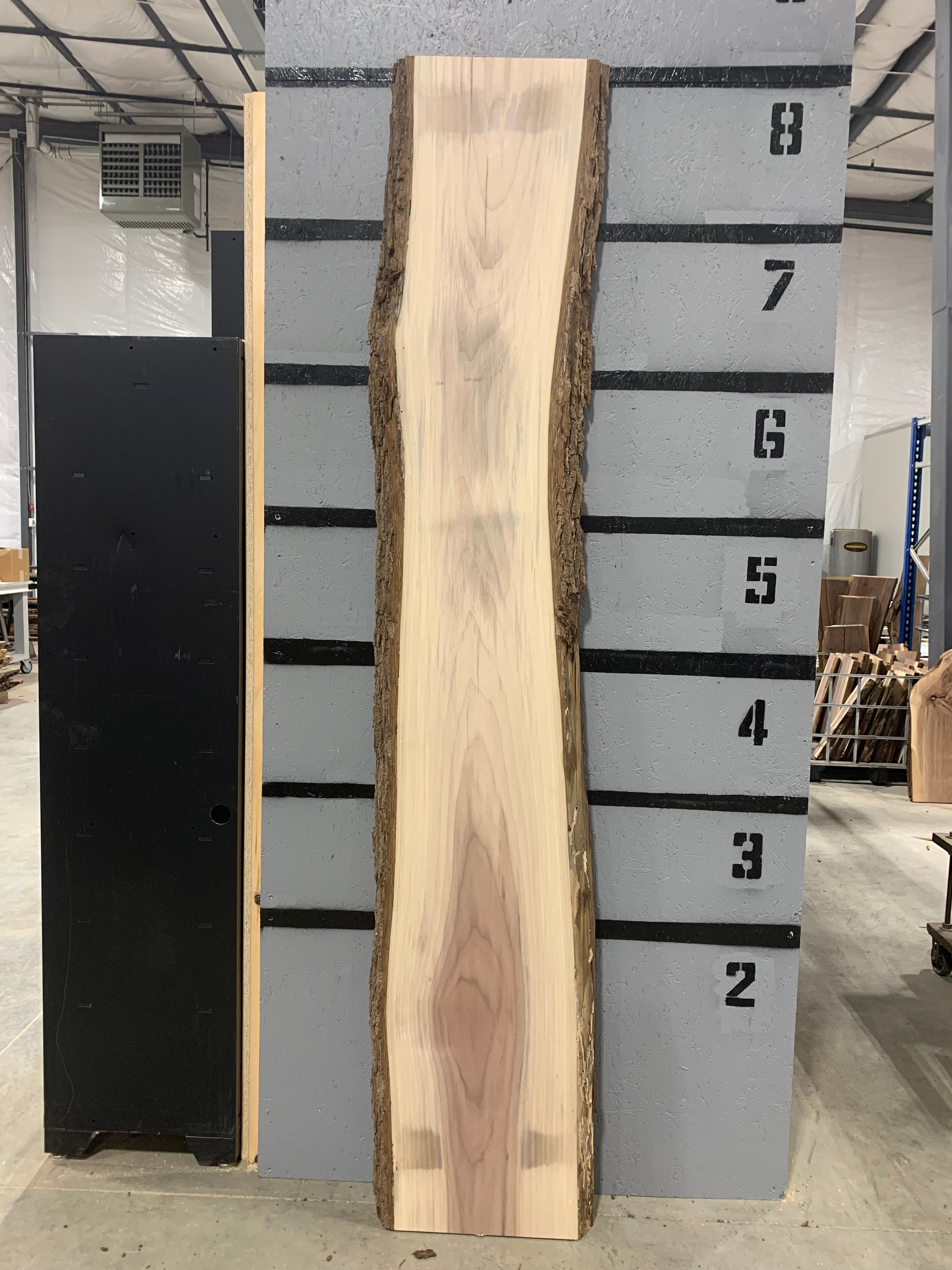 Black Walnut Slab | W122