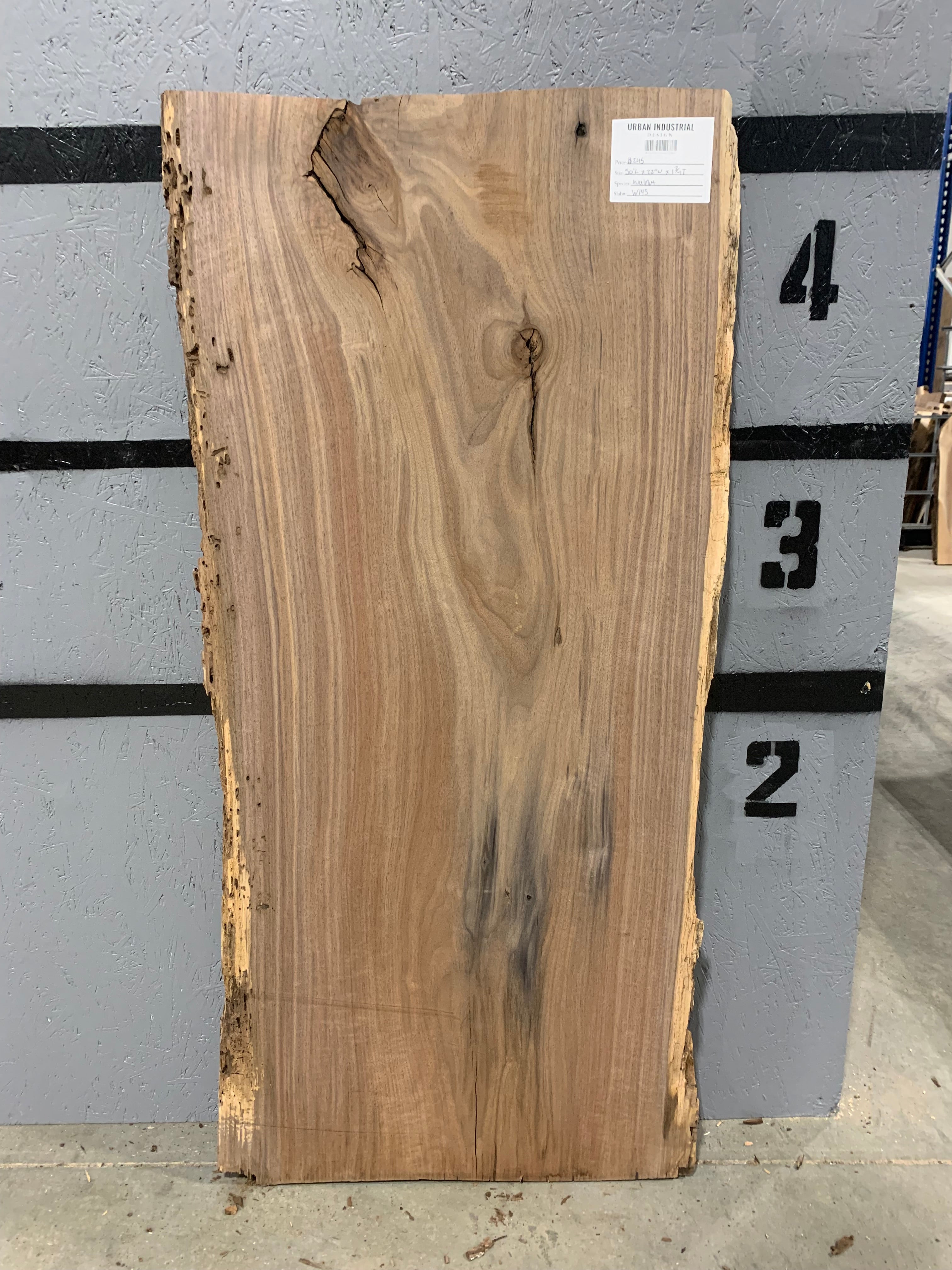 Black Walnut Slab | W145