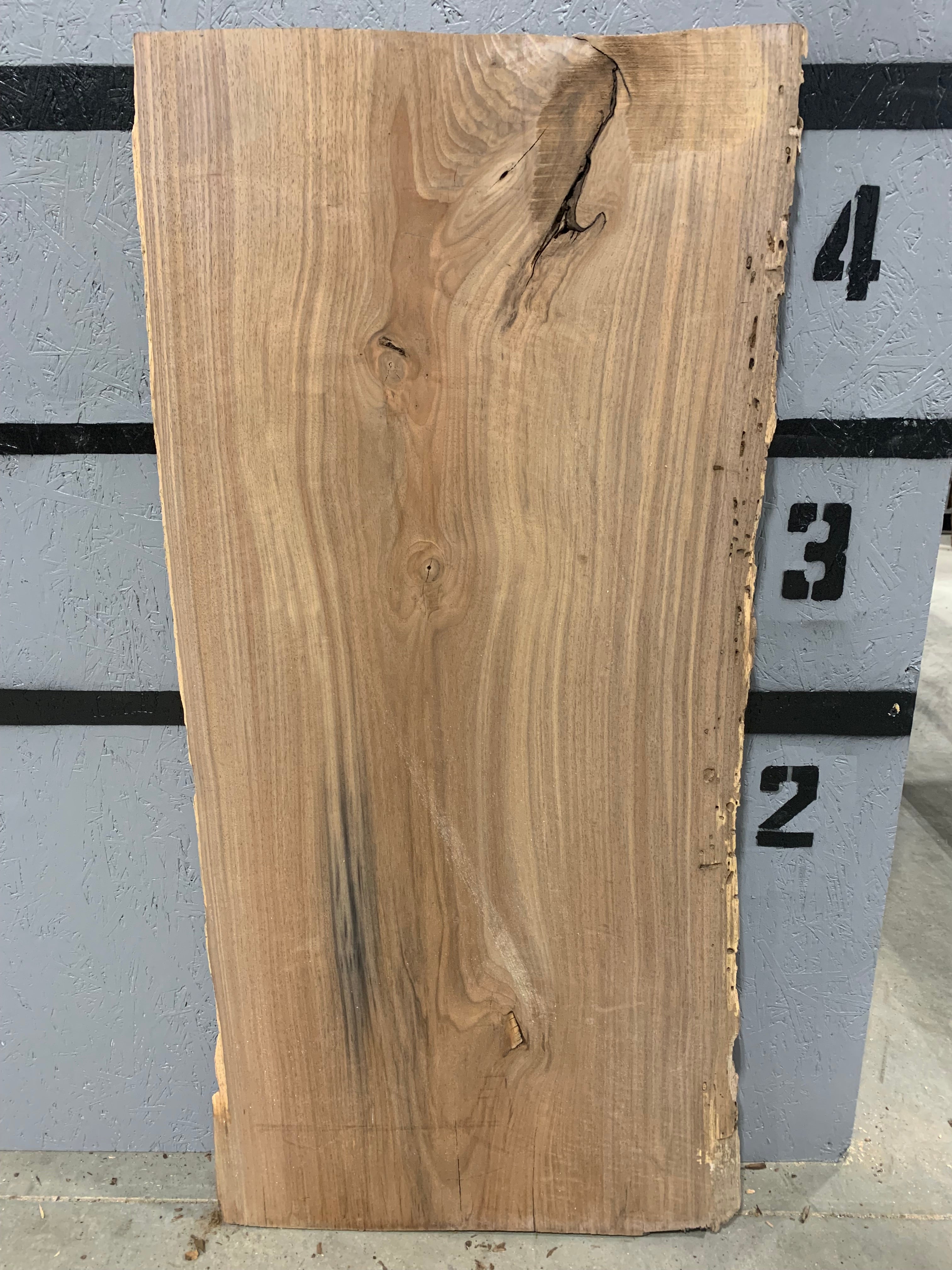 Black Walnut Slab | W145