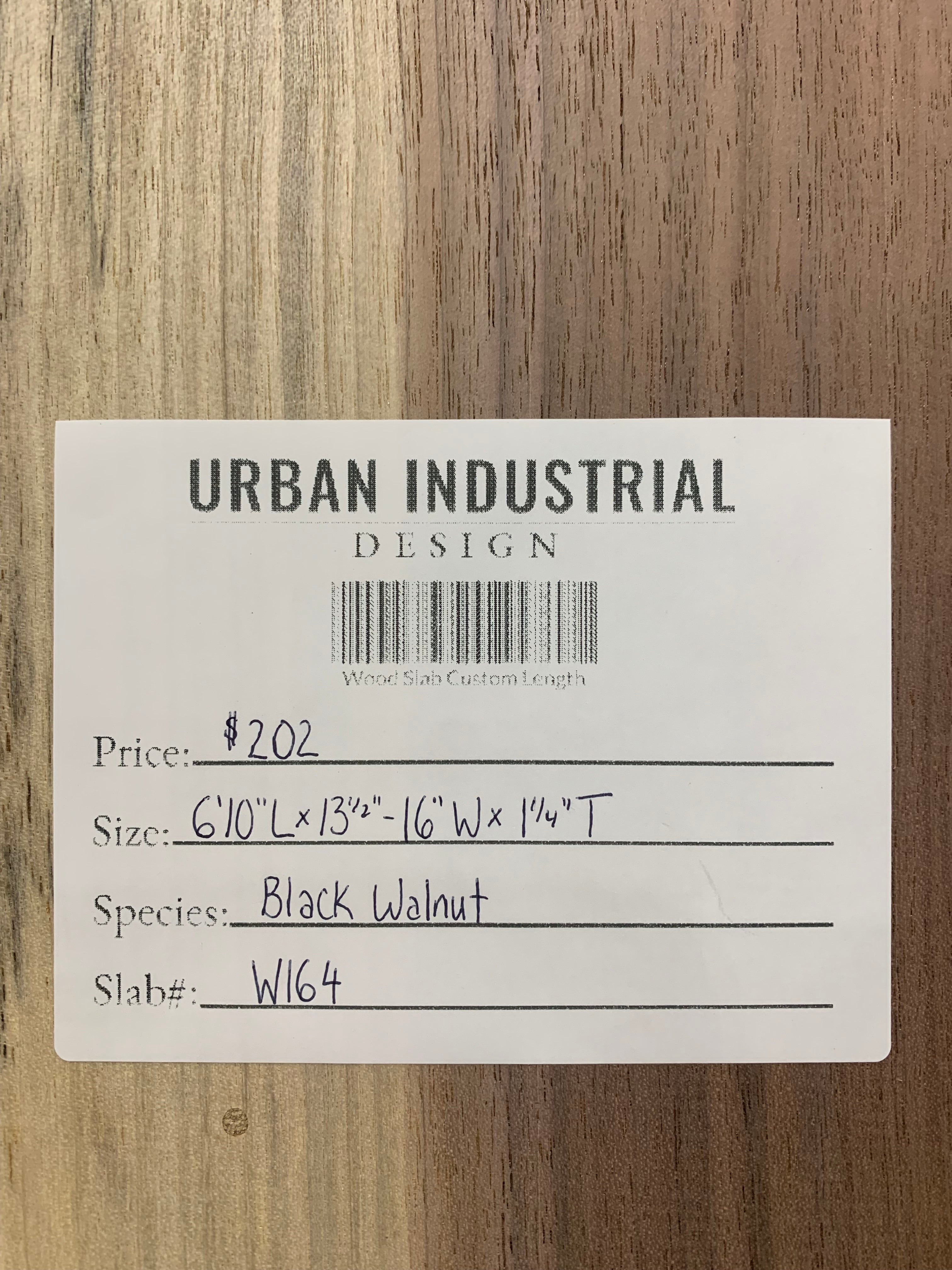 Black Walnut Slab | W164