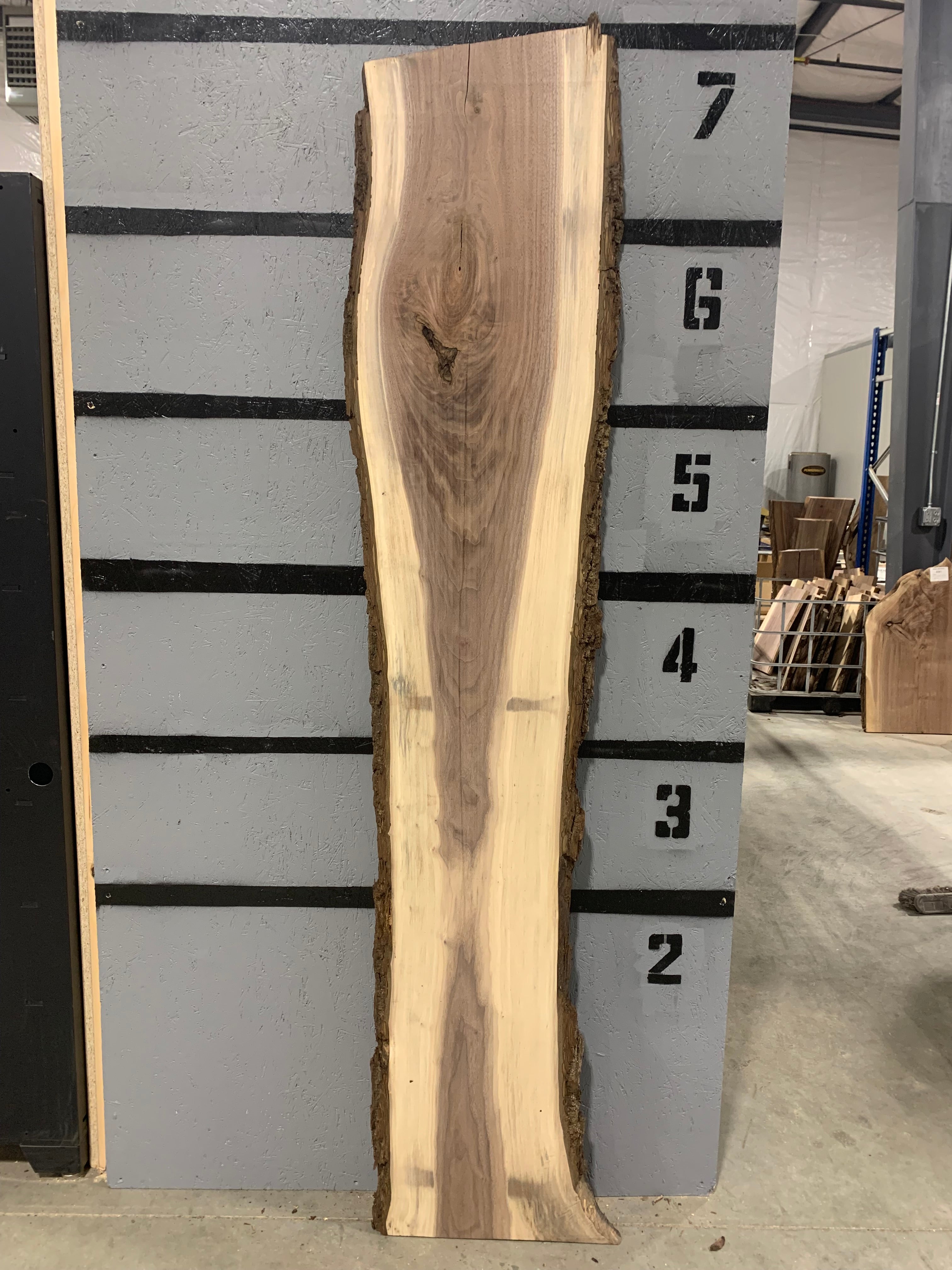 Black Walnut Slab | W164