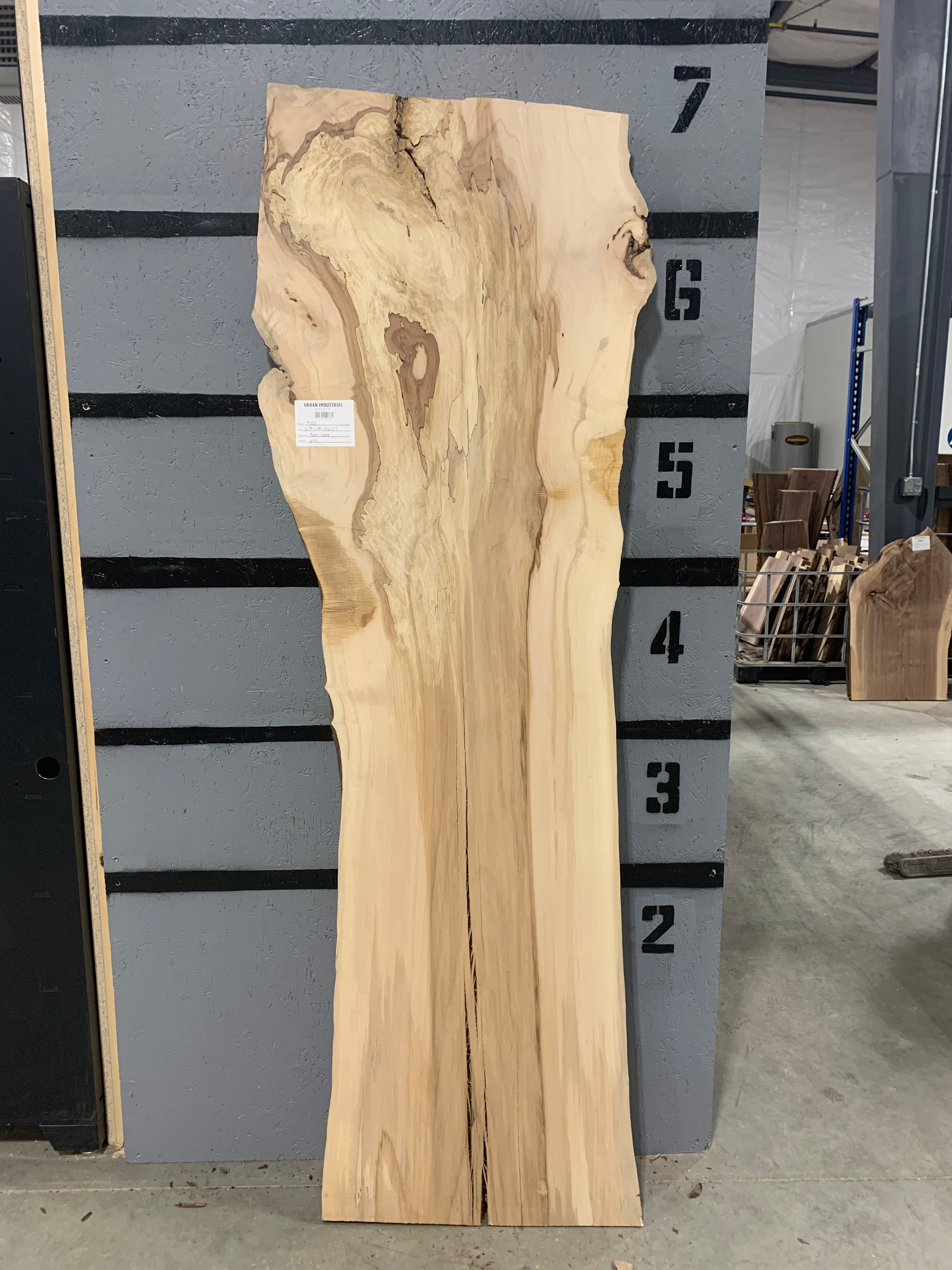 Spalted Maple Slab | W170