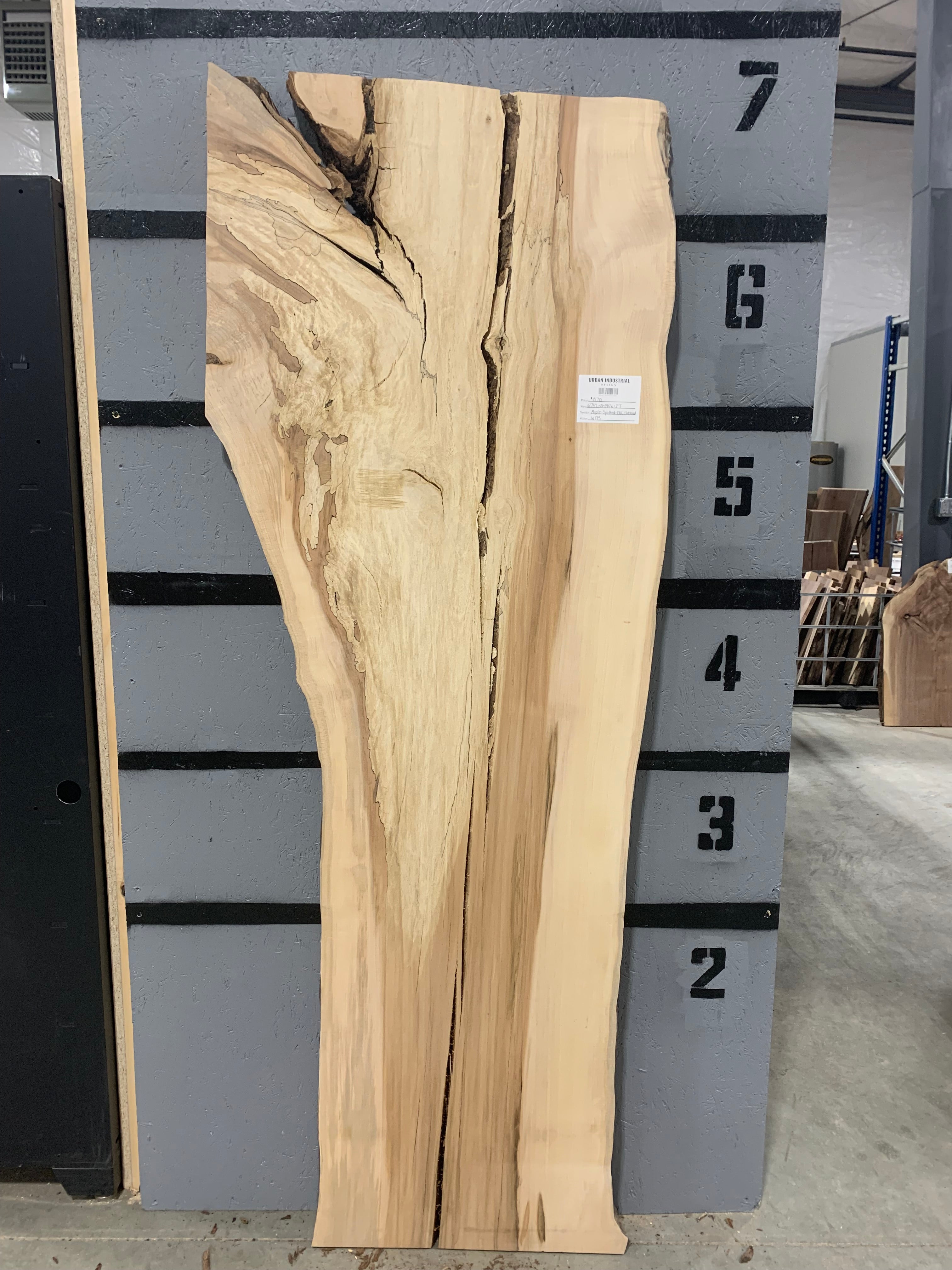 Spalted Maple Slab | CNC Flattened | W175