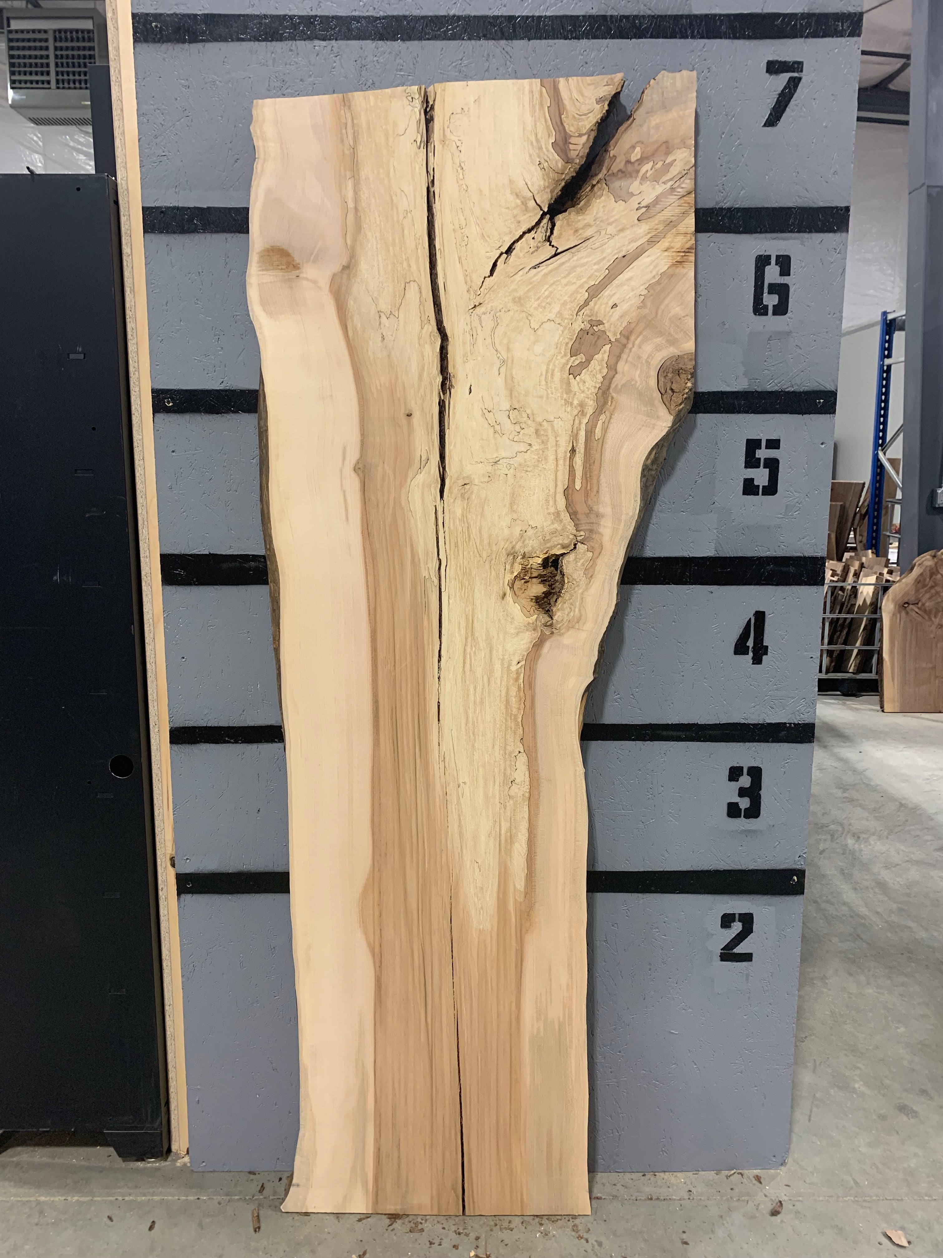 Spalted Maple Slab | CNC Flattened | W175