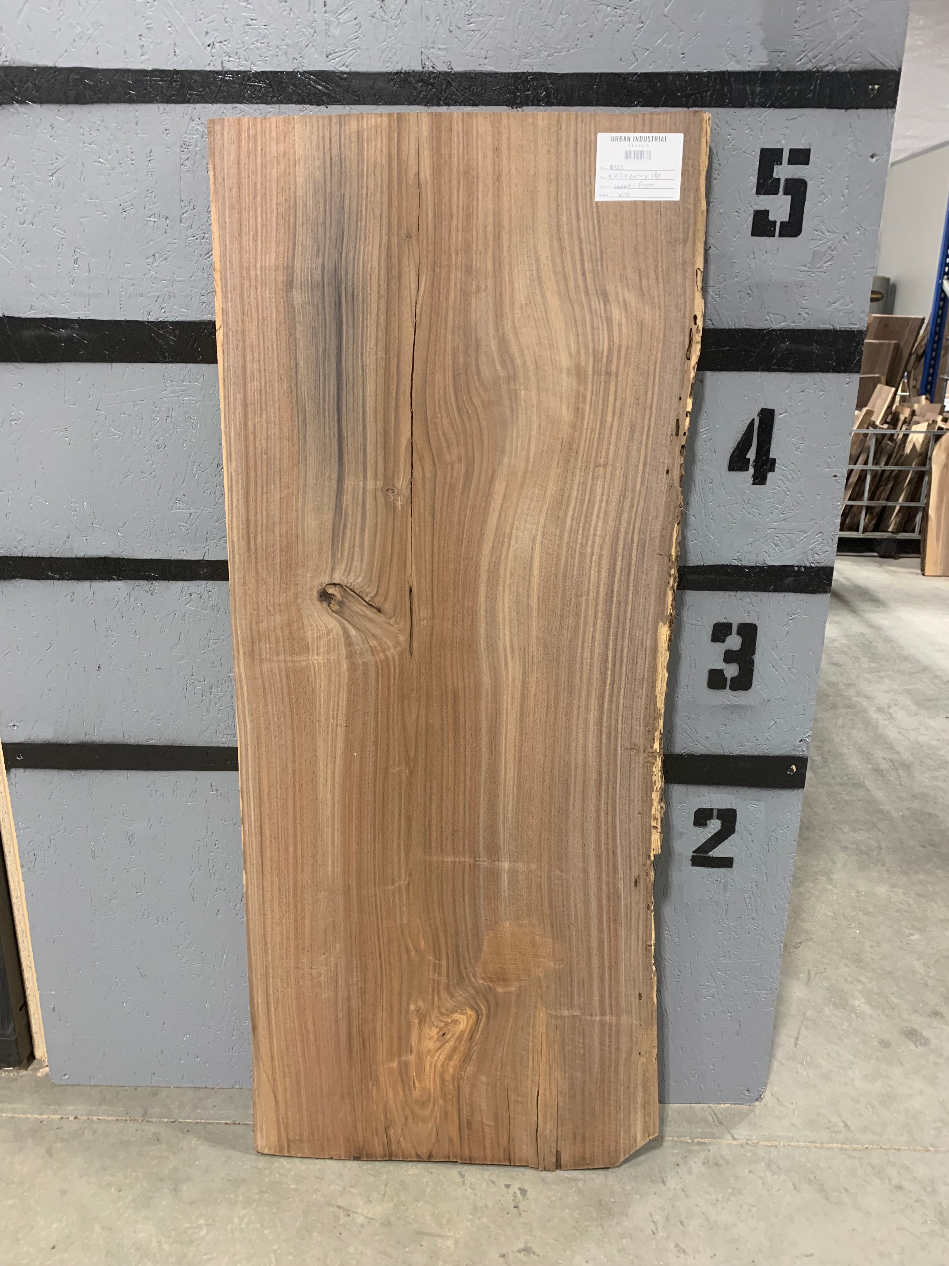 Black Walnut Slab | W140