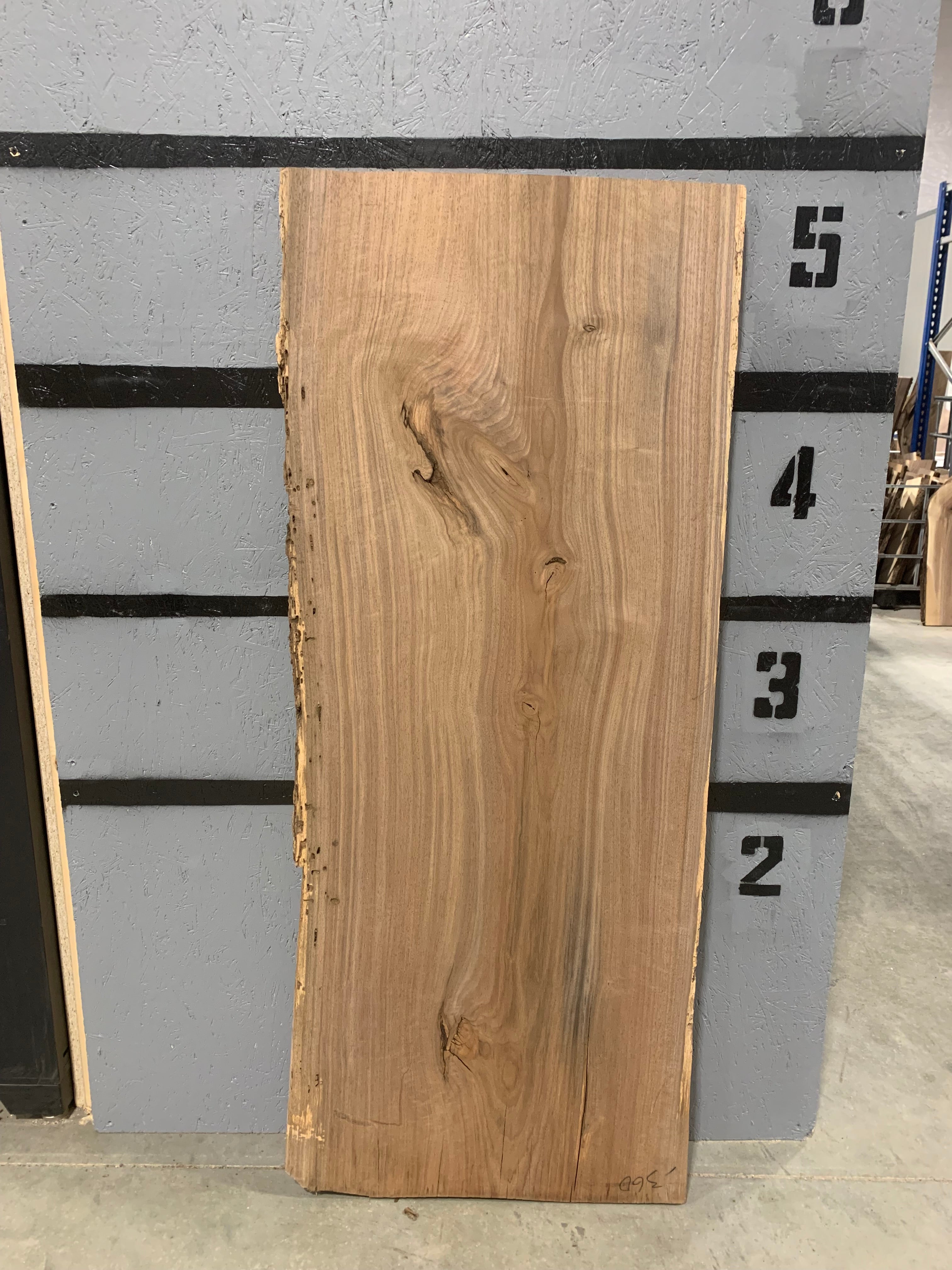 Black Walnut Slab | W140