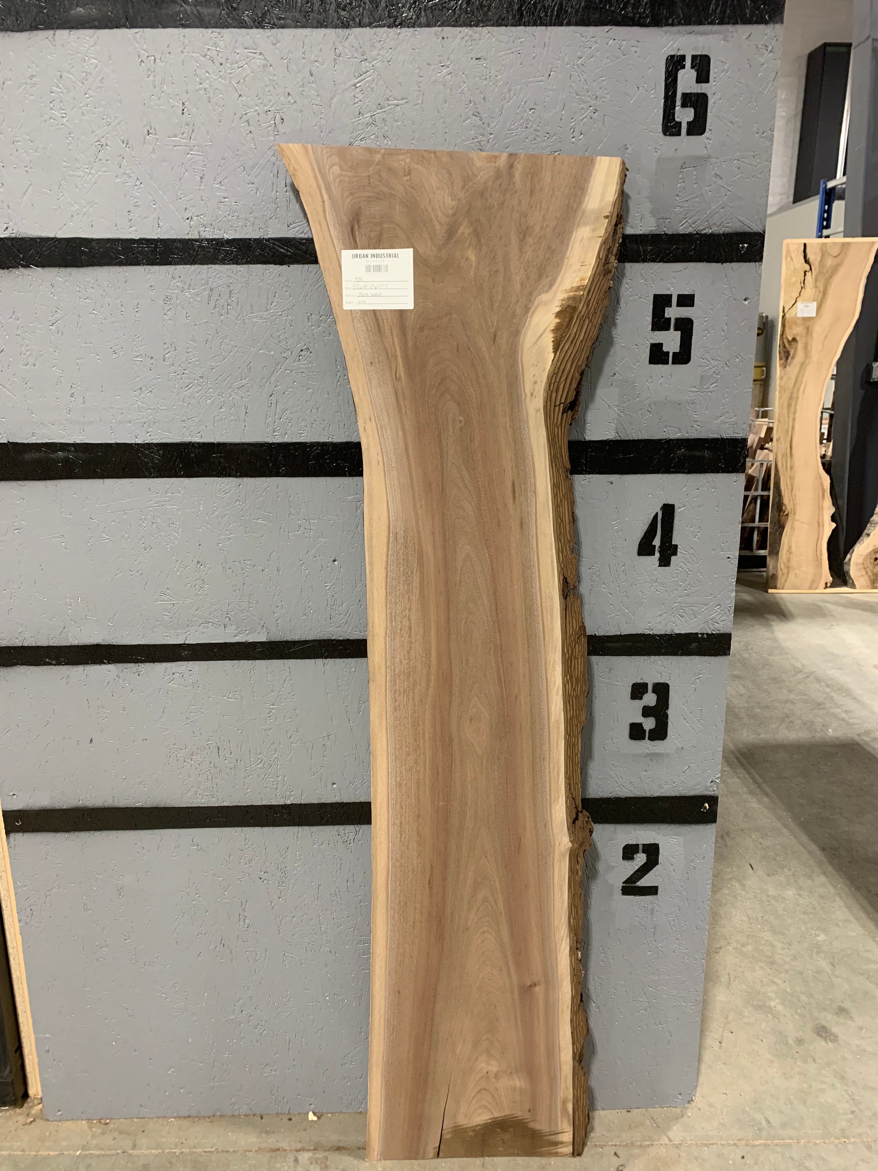 Black Walnut Slab | W216