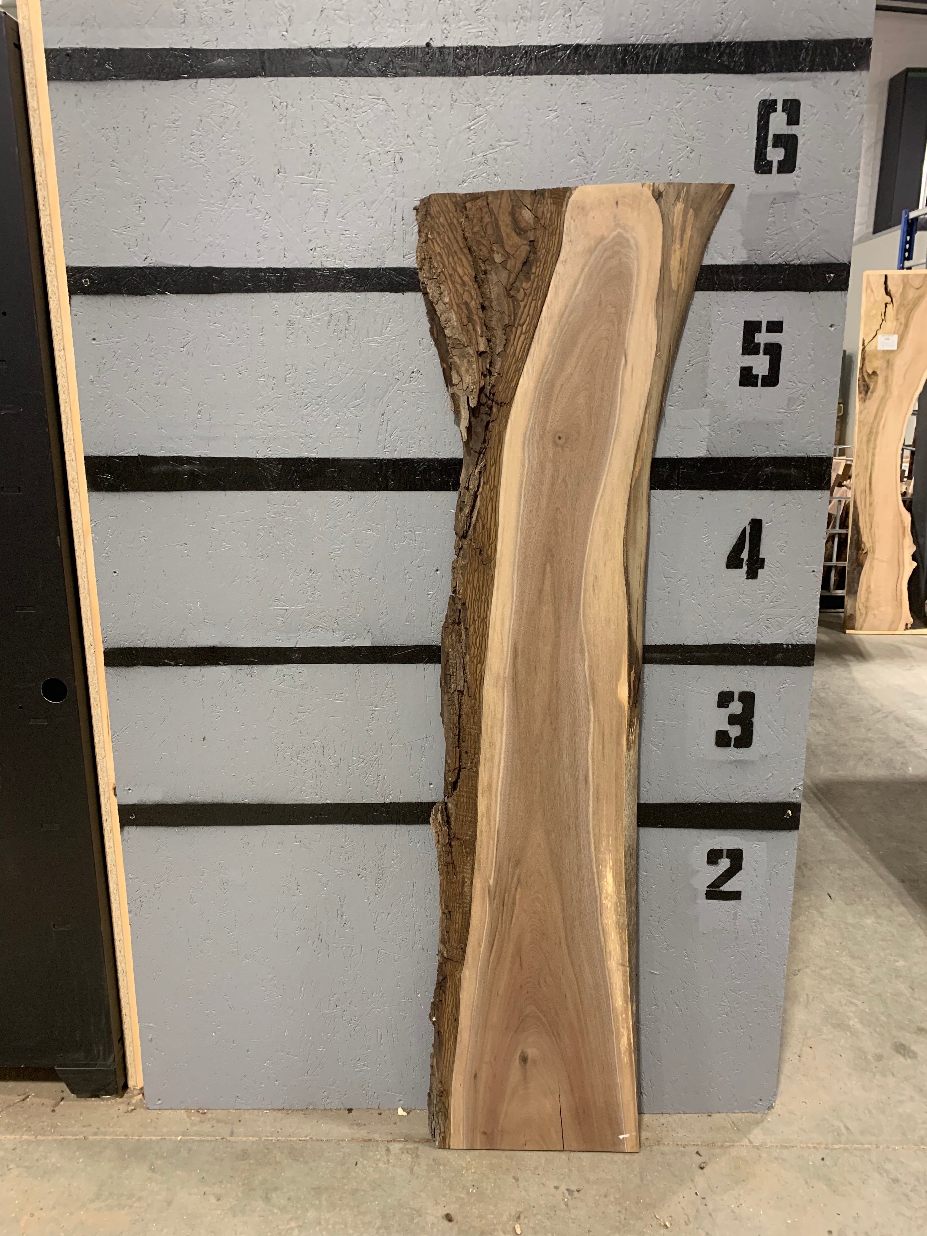 Black Walnut Slab | W216