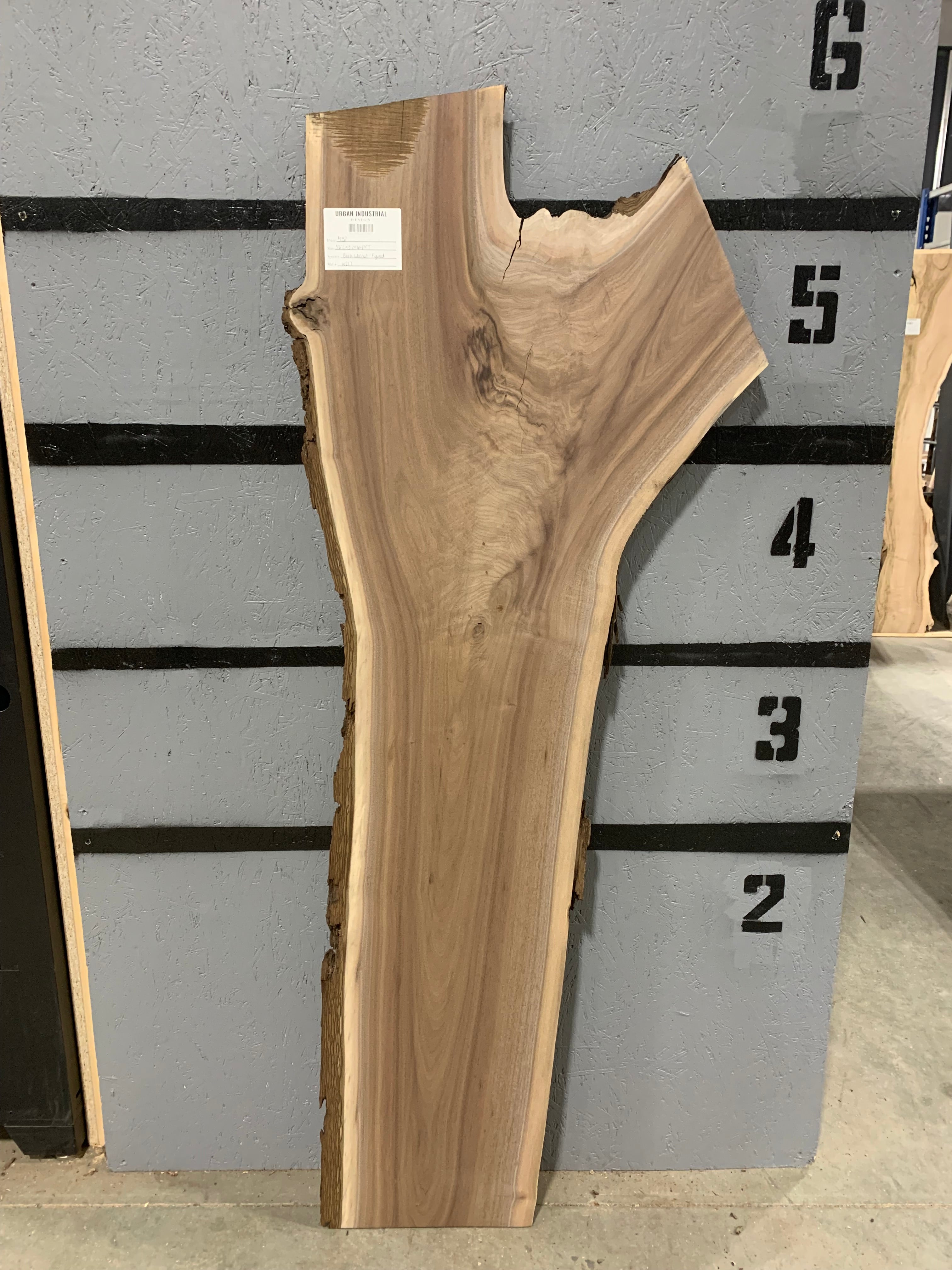 Black Walnut Slab | Figured | W217