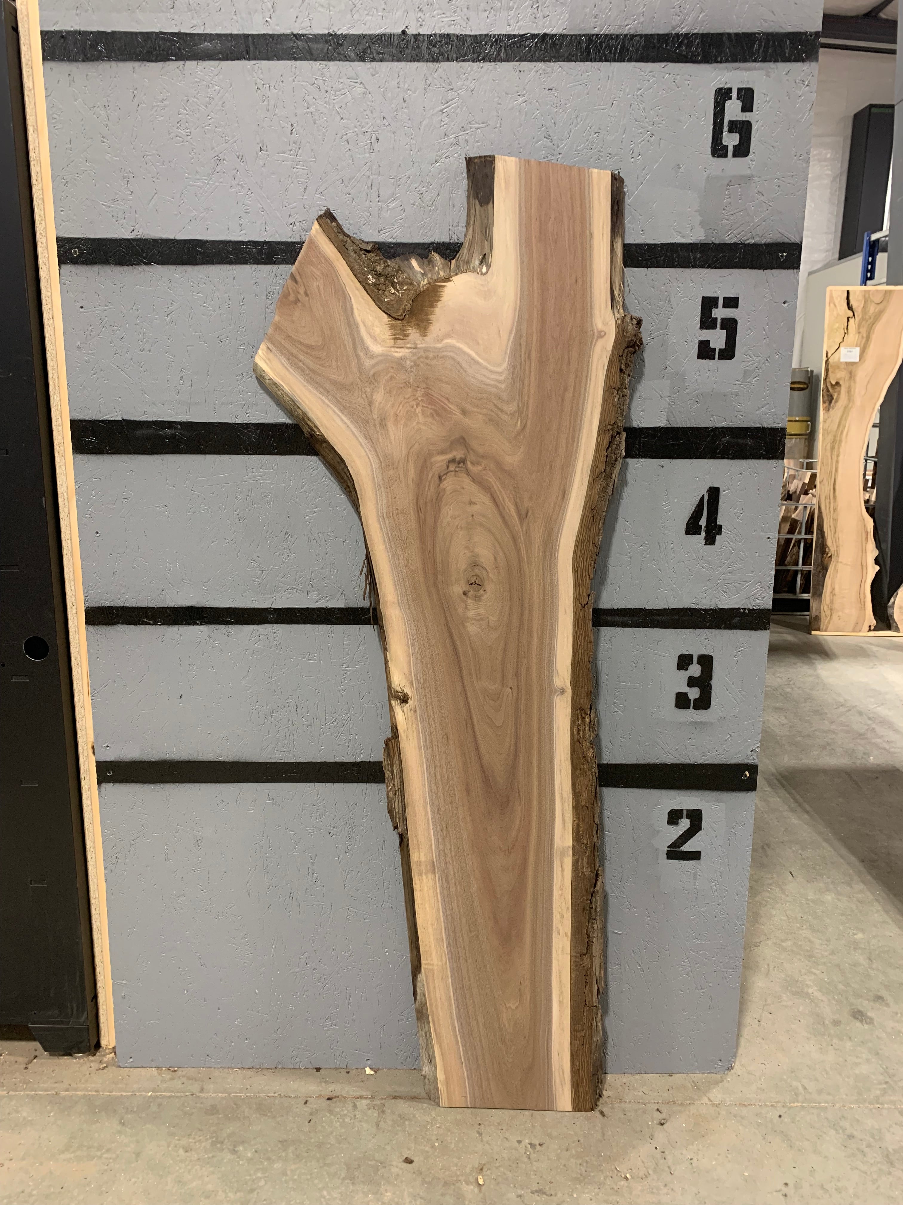 Black Walnut Slab | Figured | W217