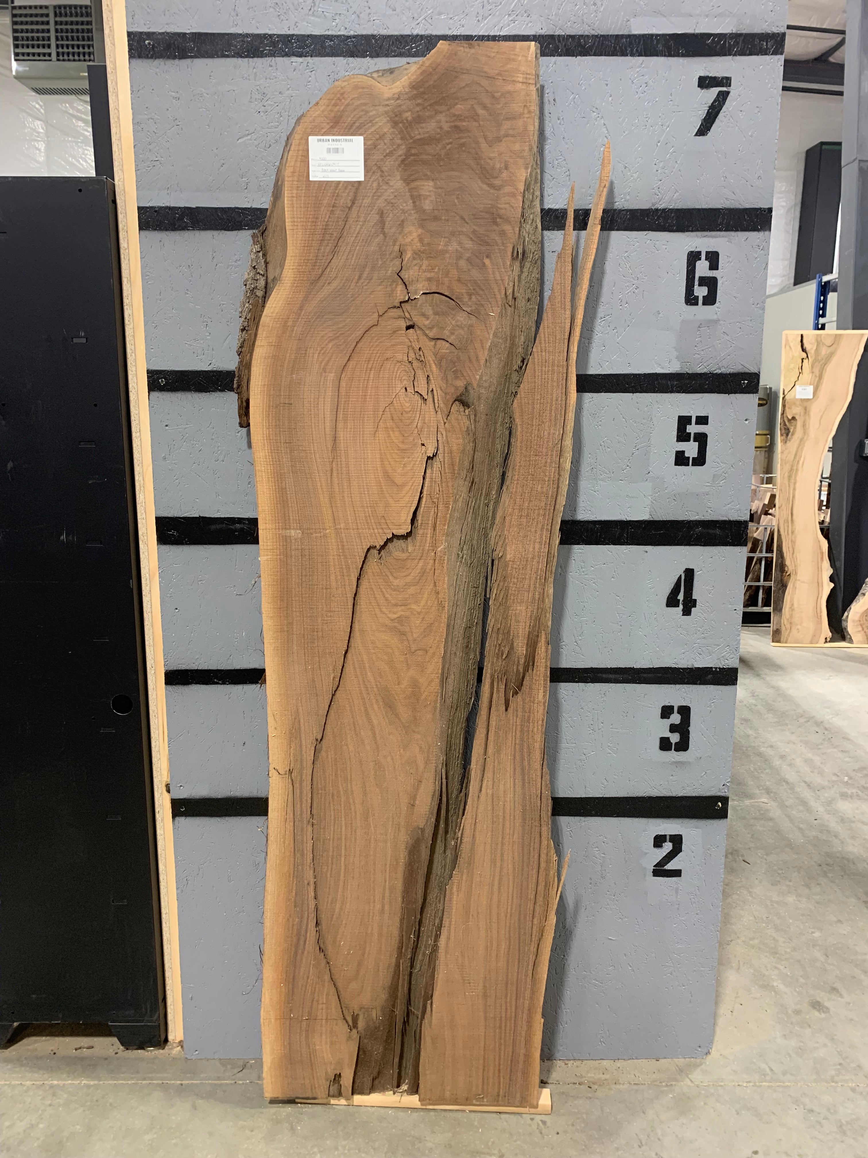 Black Walnut Slab | Resin | W221