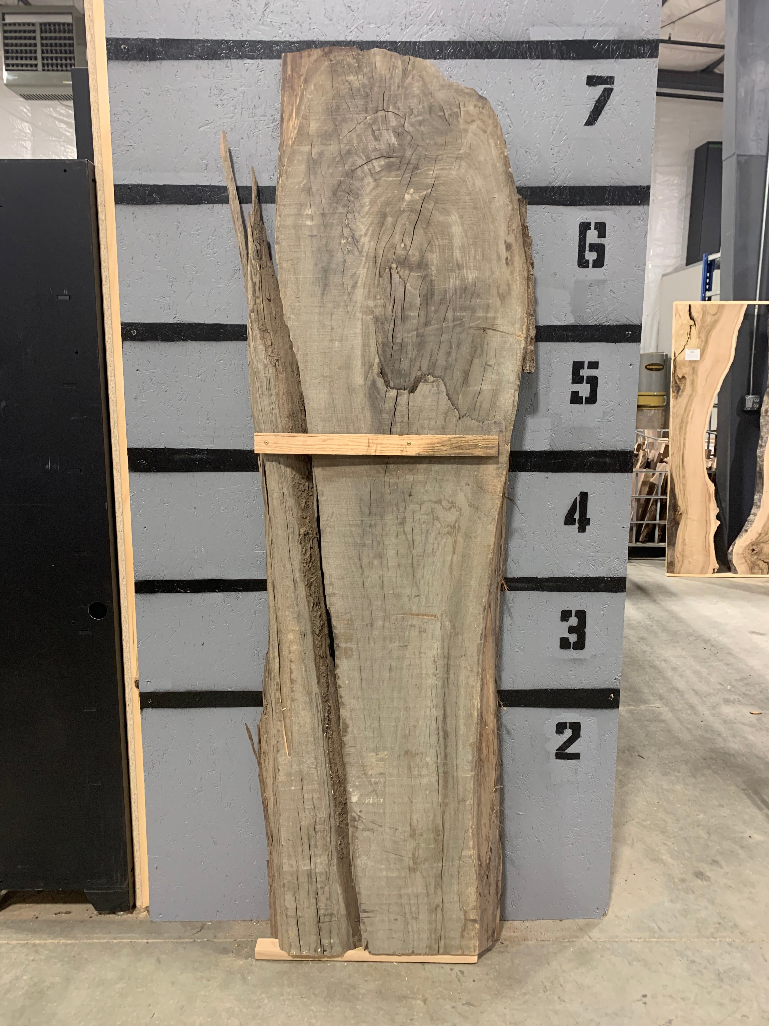 Black Walnut Slab | Resin | W221