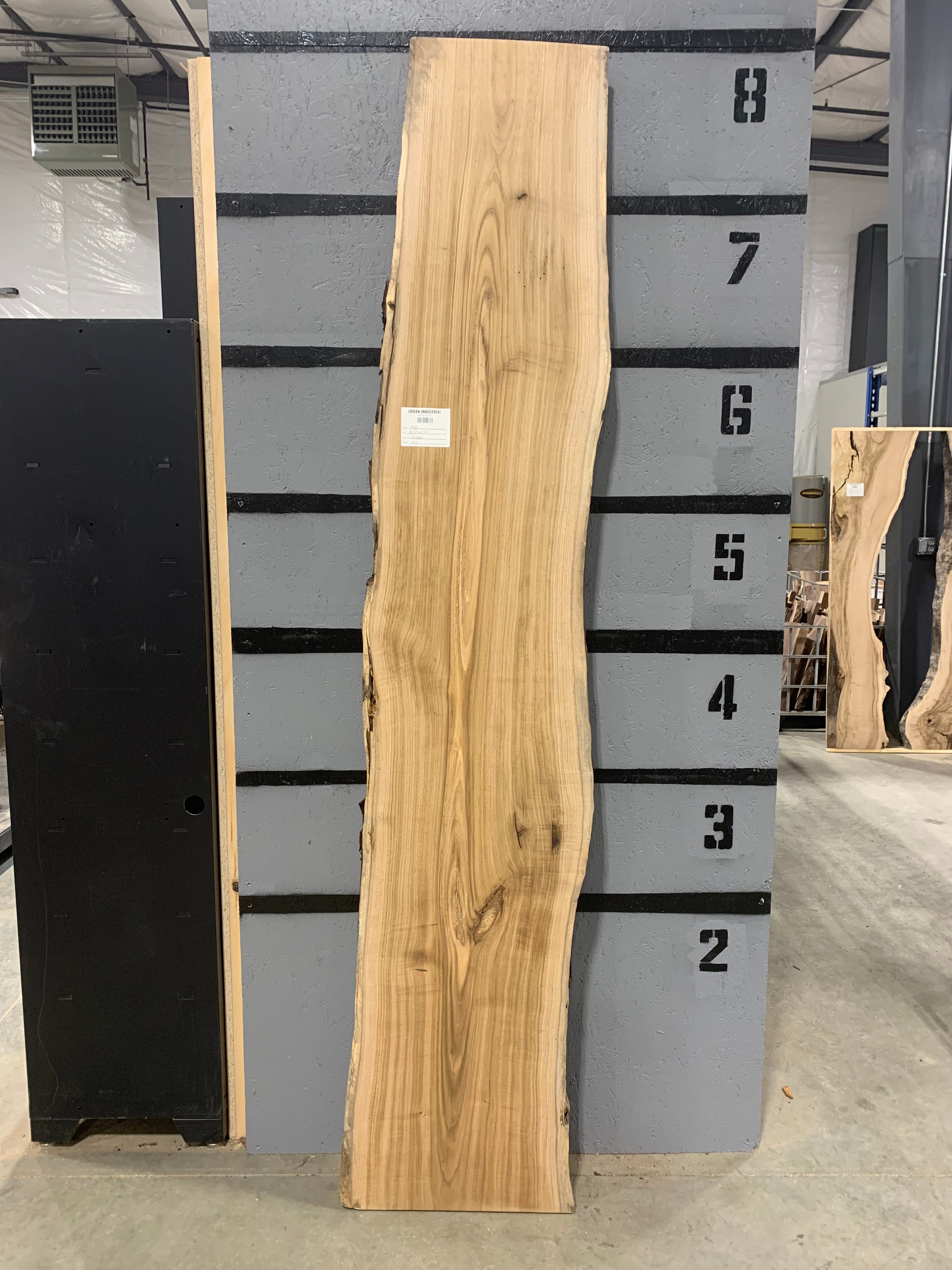 Butternut Slab | W222
