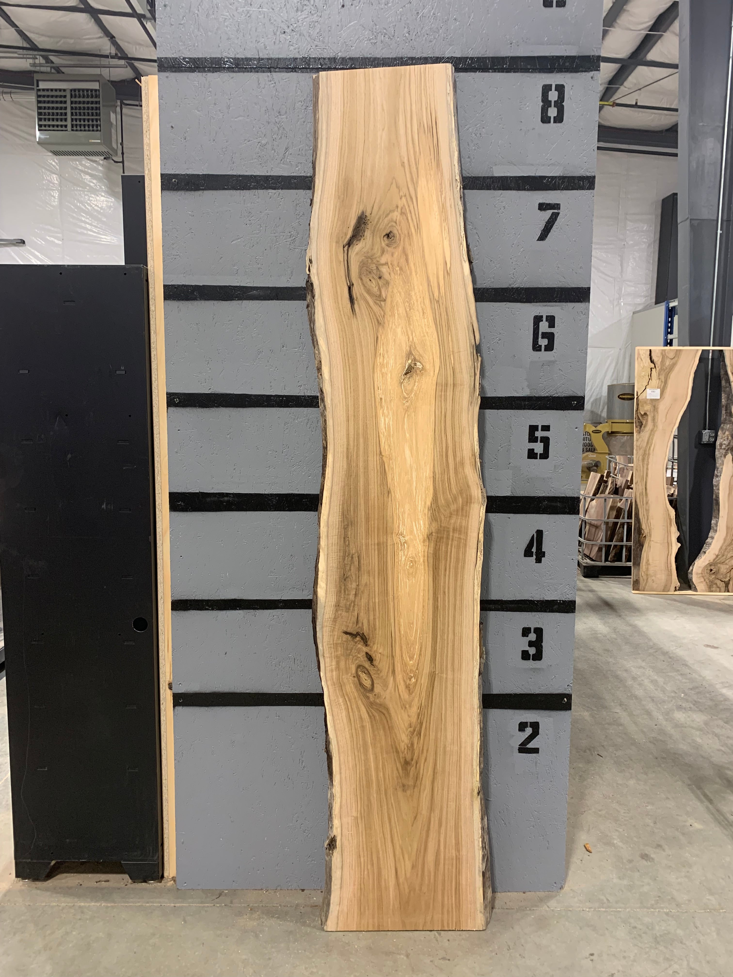 Butternut Slab | W222