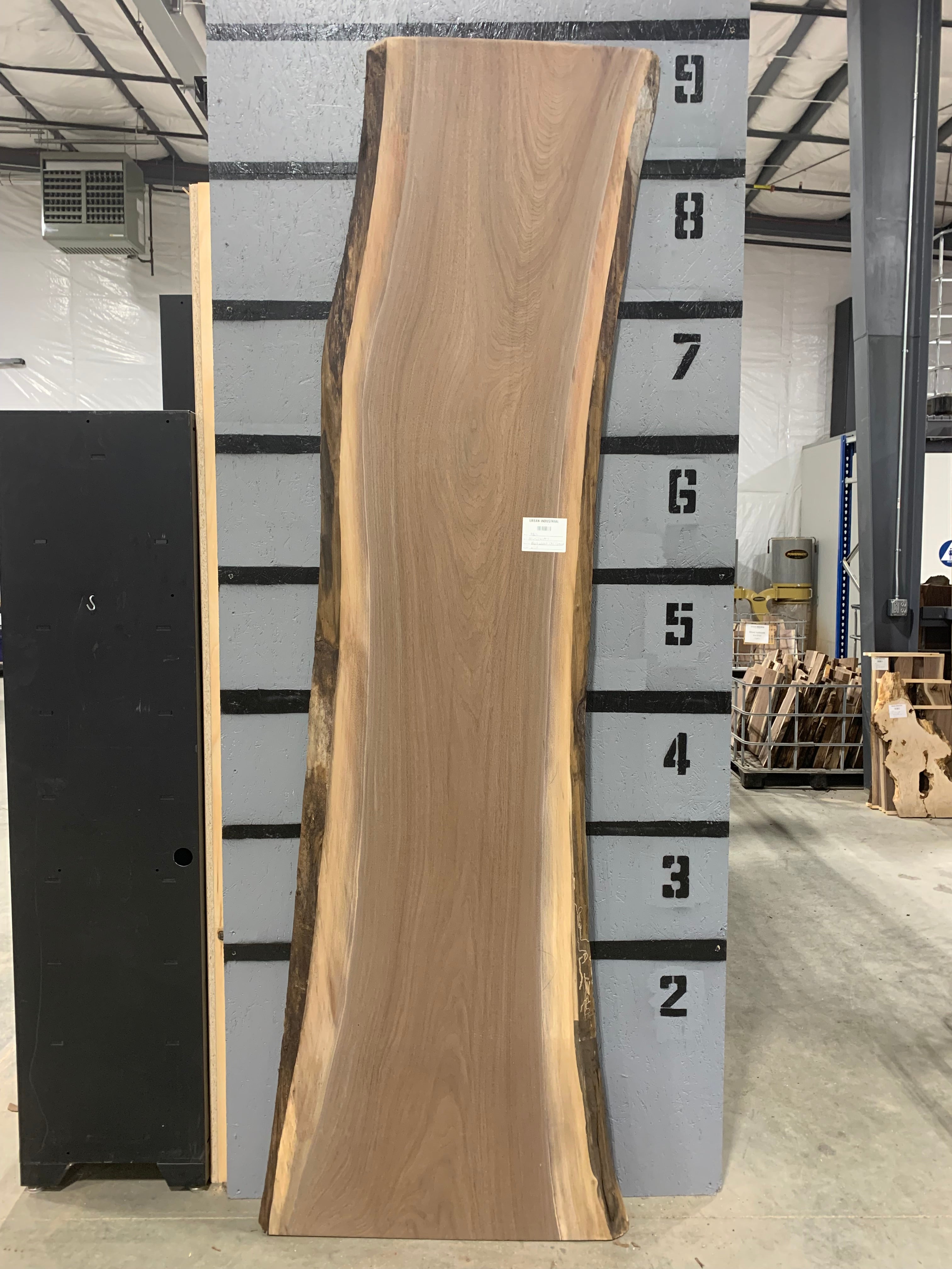 Black Walnut Slab | CNC Flattened | W238