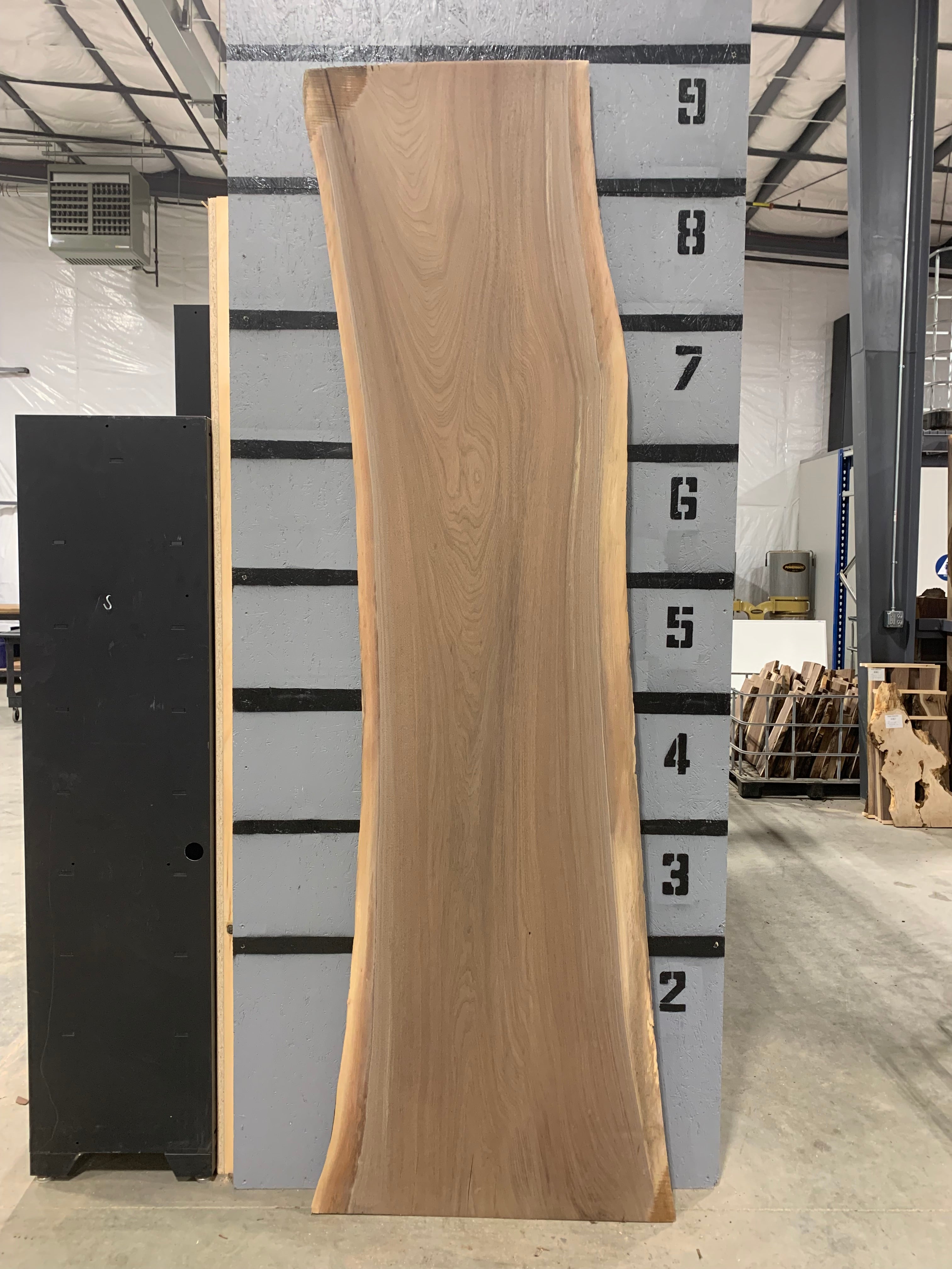 Black Walnut Slab | CNC Flattened | W238