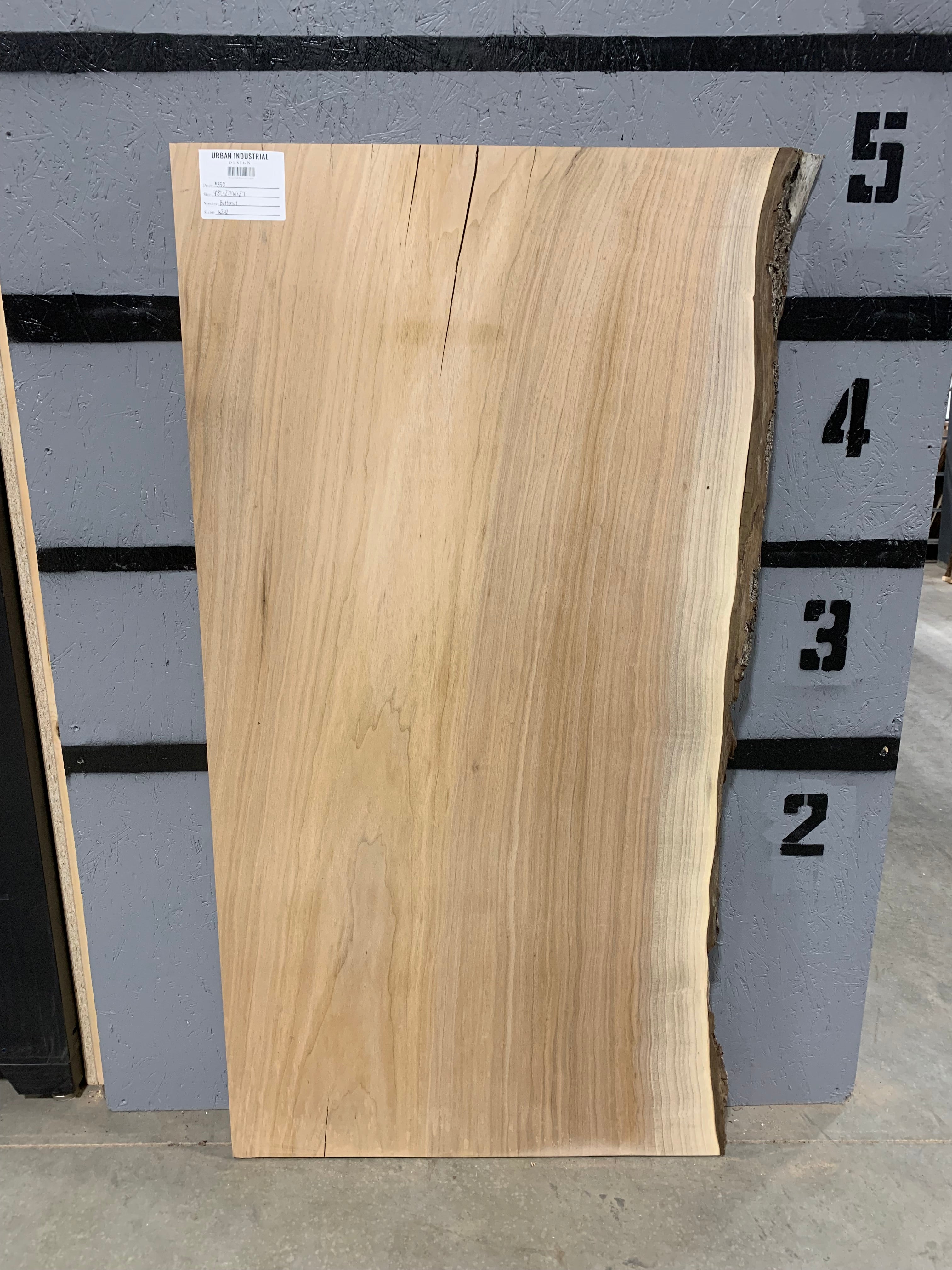 Butternut Slab | W242