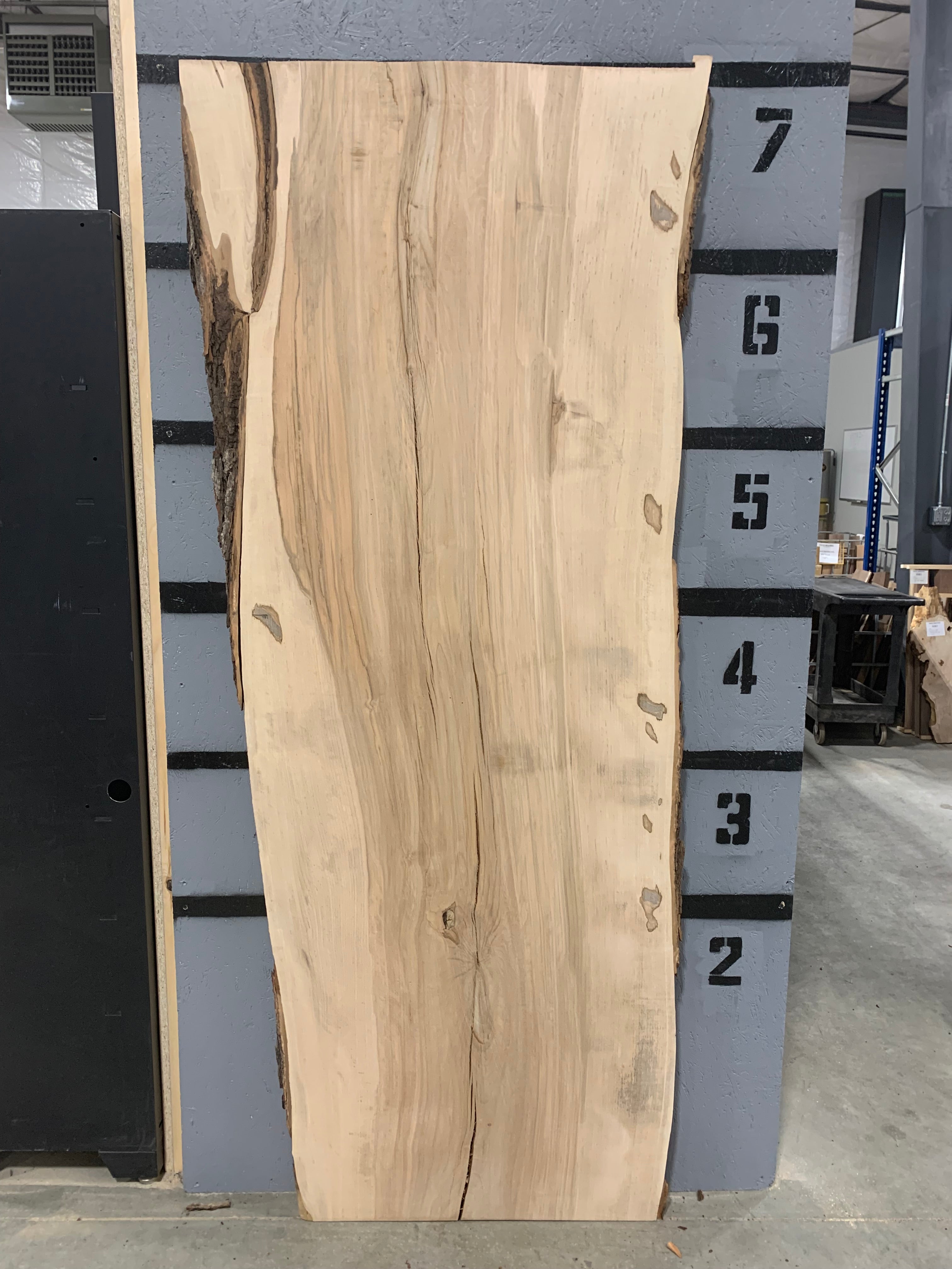 Maple- Ambrosia Slab | W251