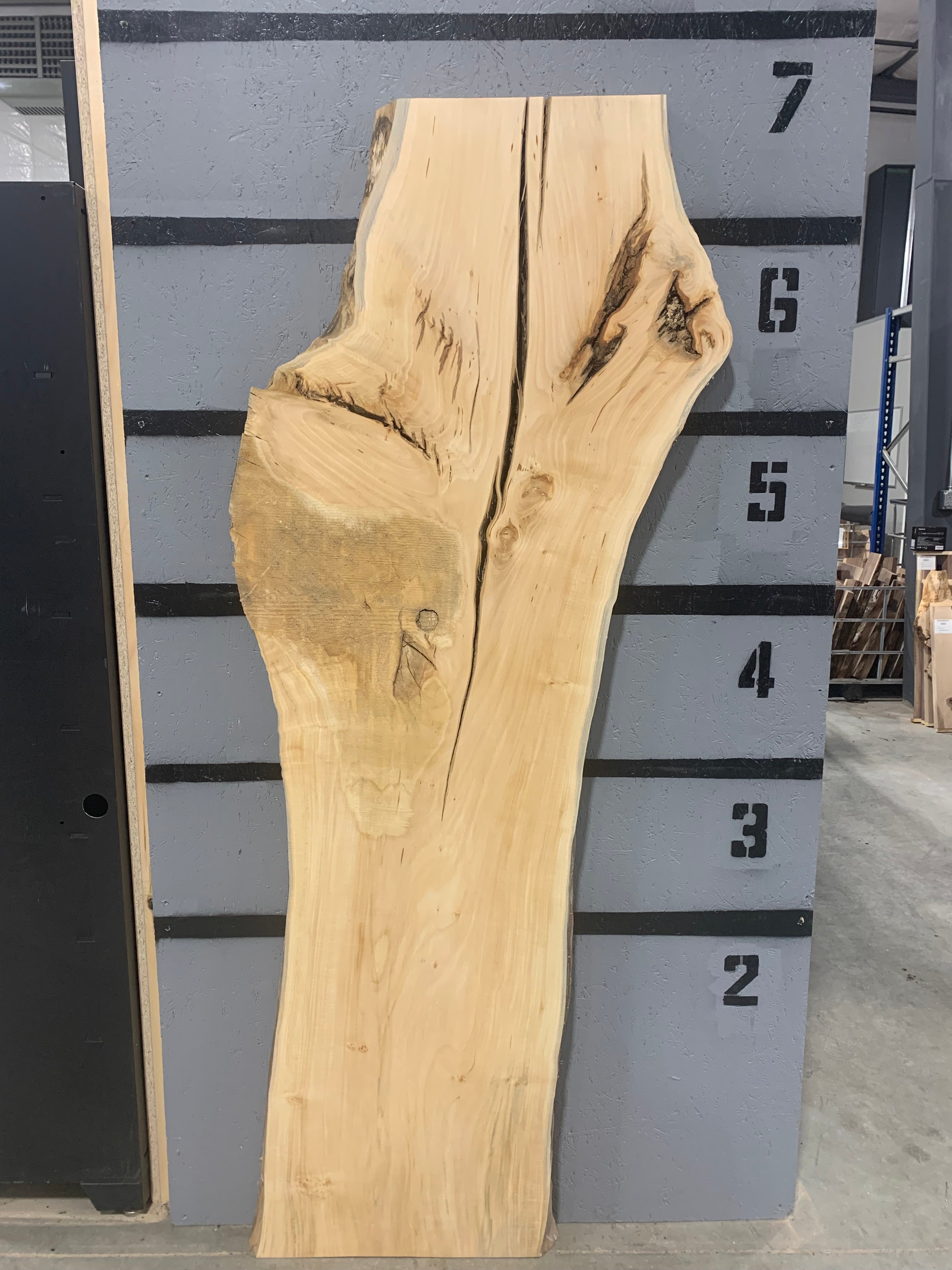 Maple Slab | W262