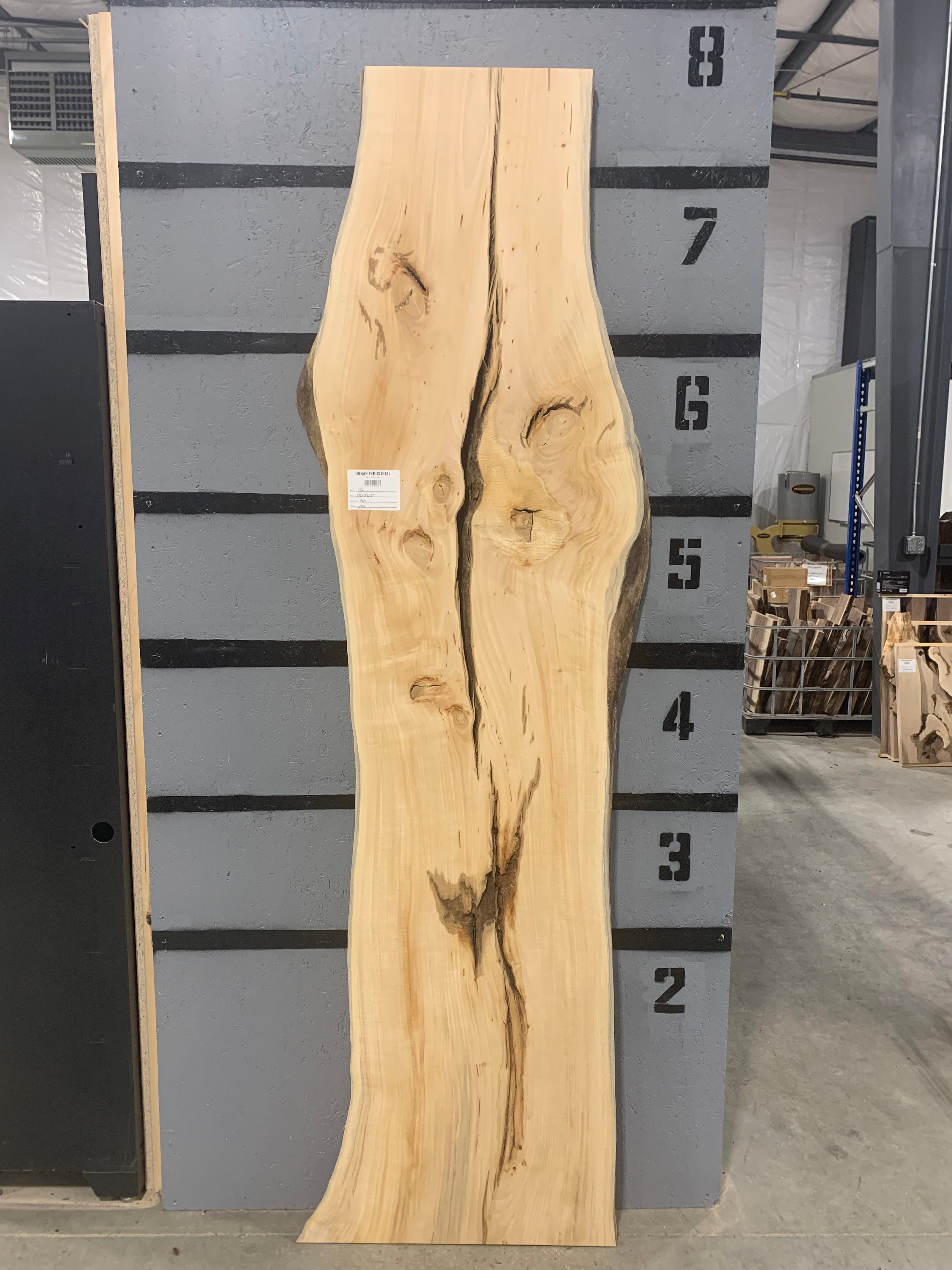 Maple Slab | W264
