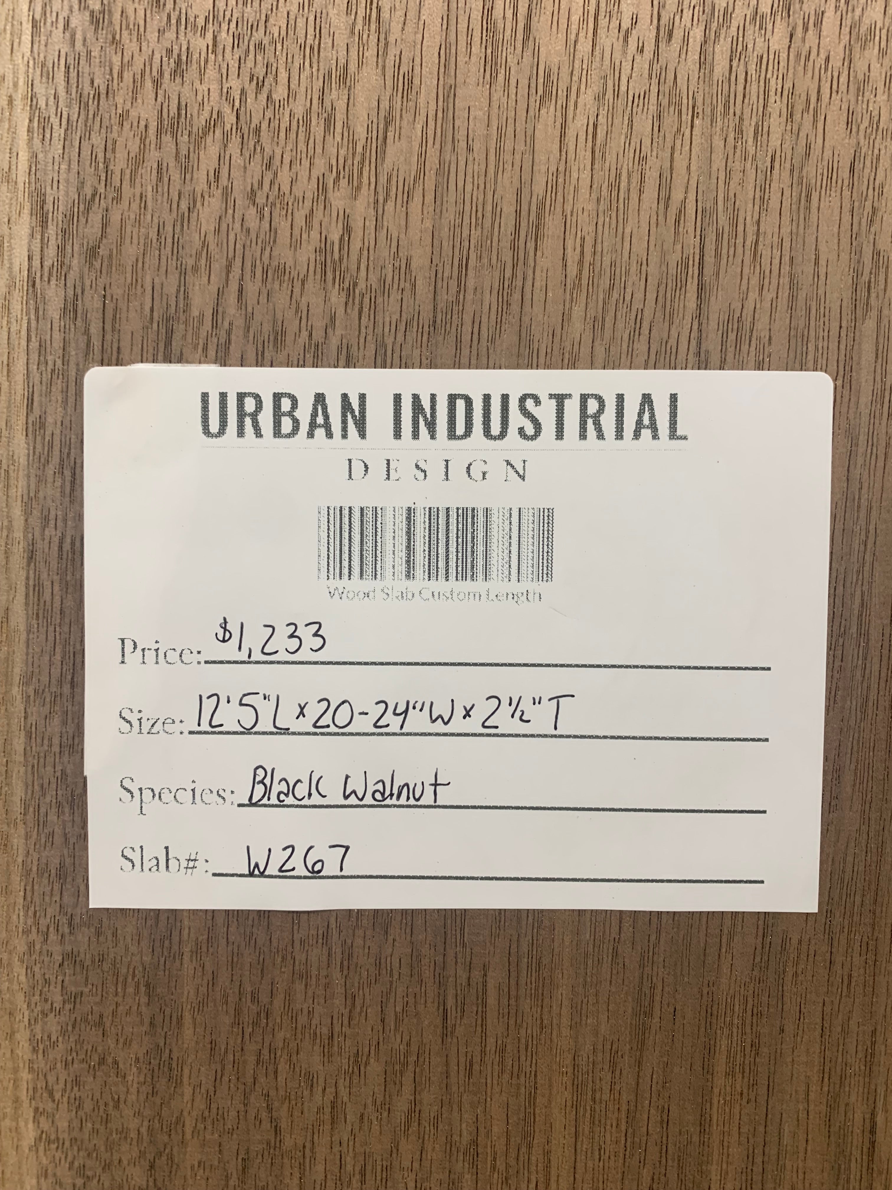Black Walnut Slab | W267