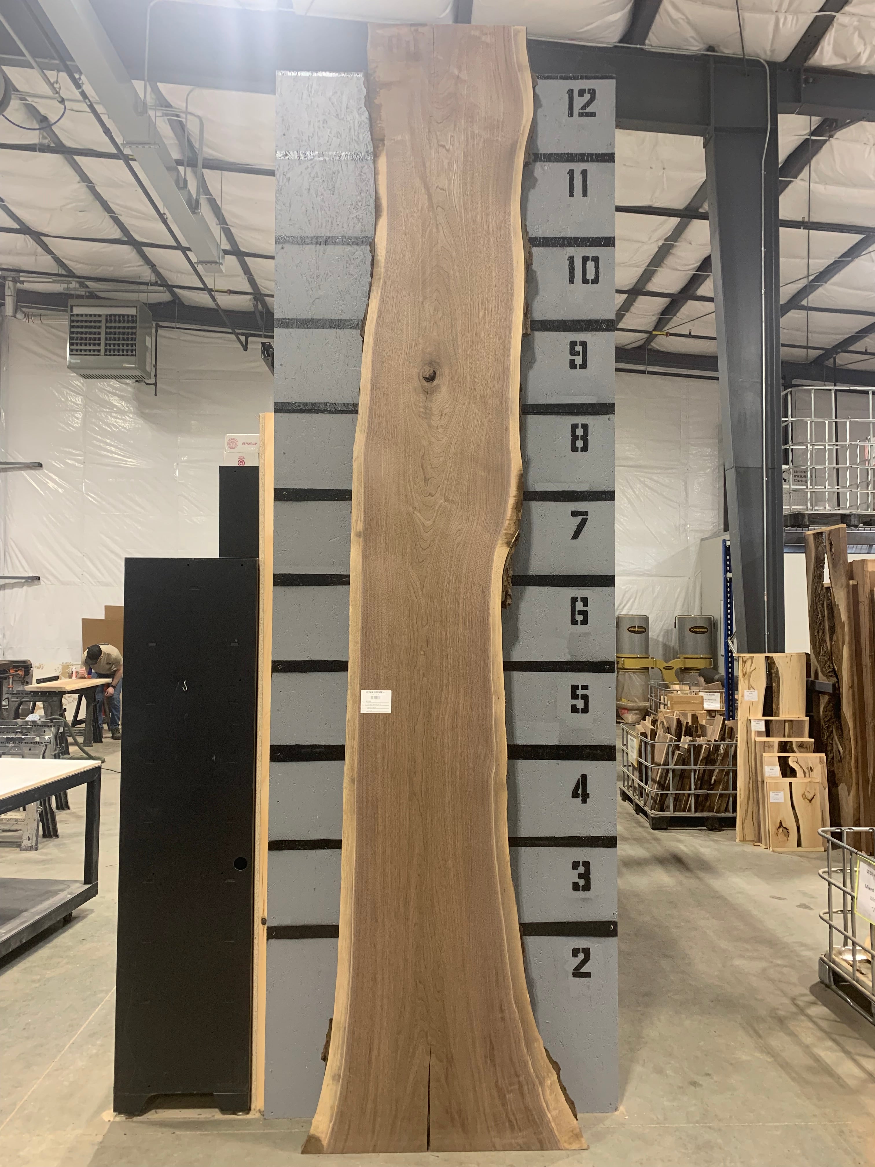 Black Walnut Slab | W267