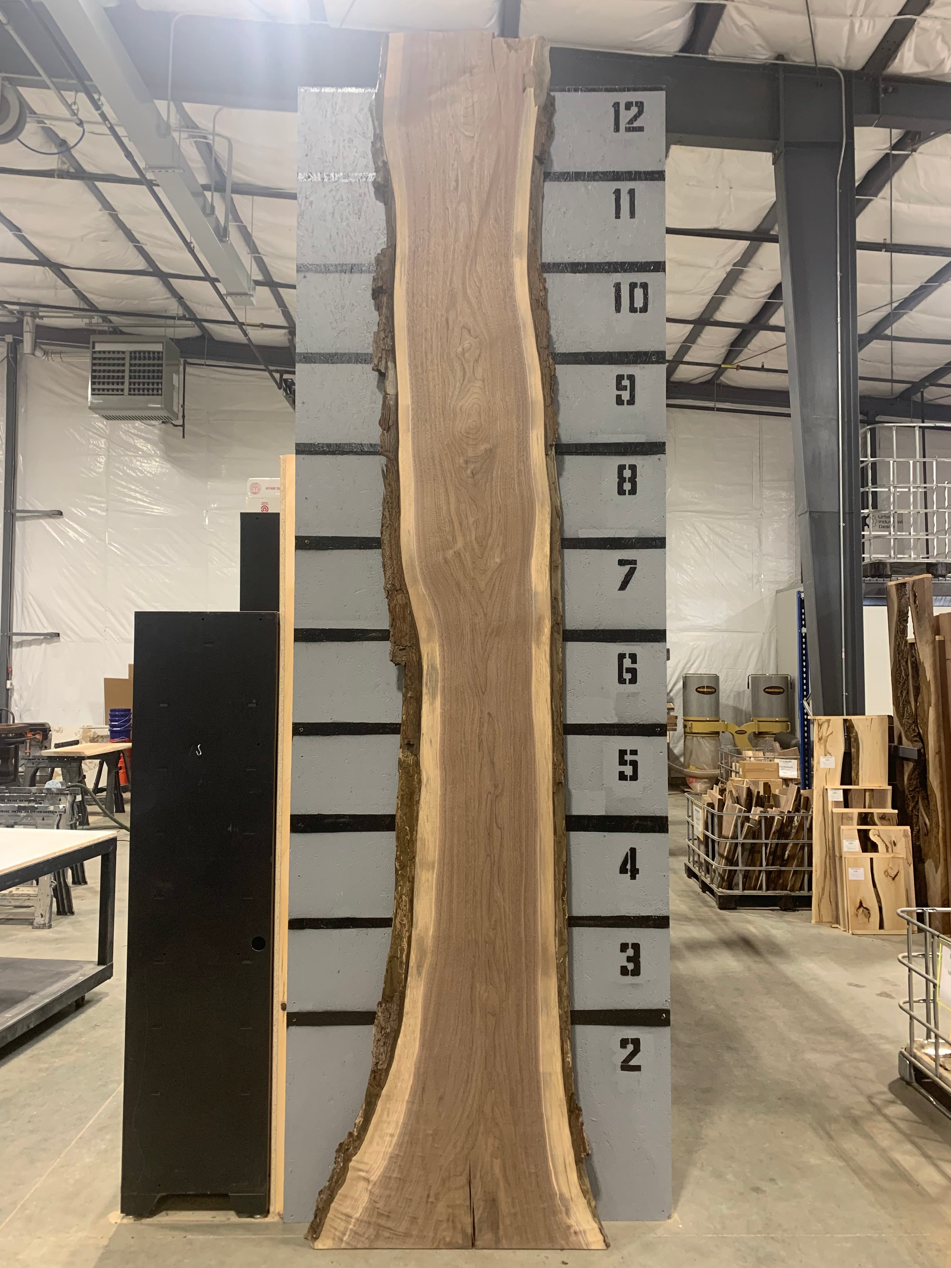 Black Walnut Slab | W267
