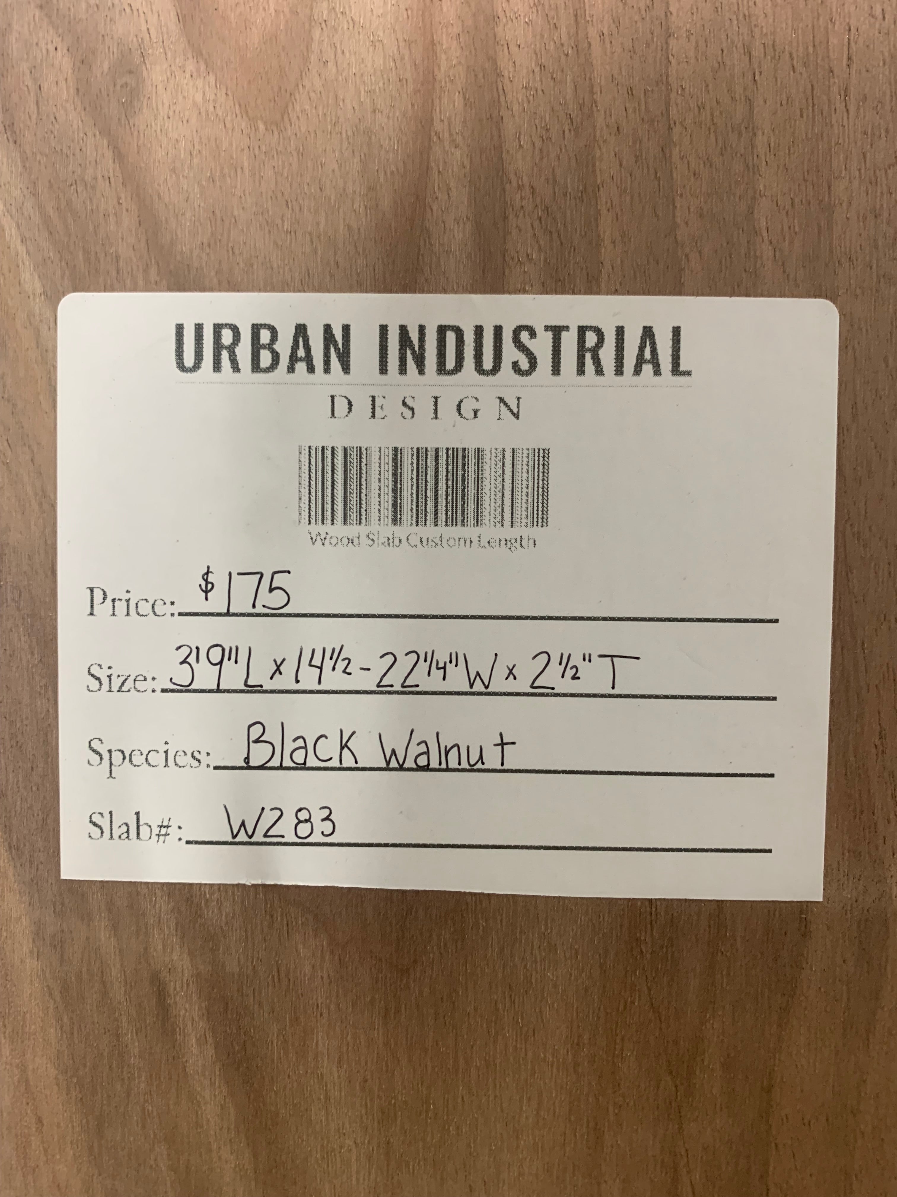 Black Walnut Slab | W283
