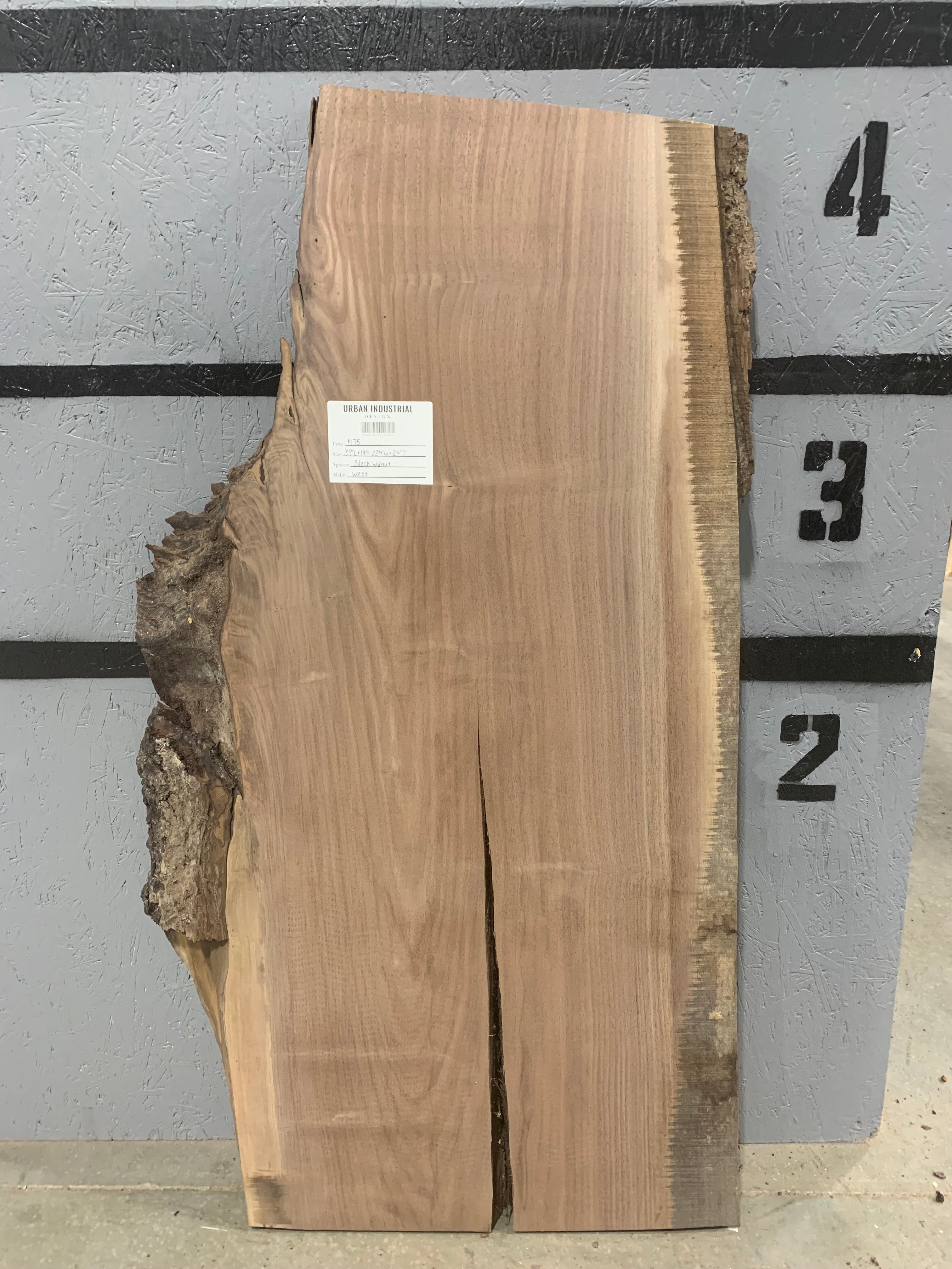 Black Walnut Slab | W283
