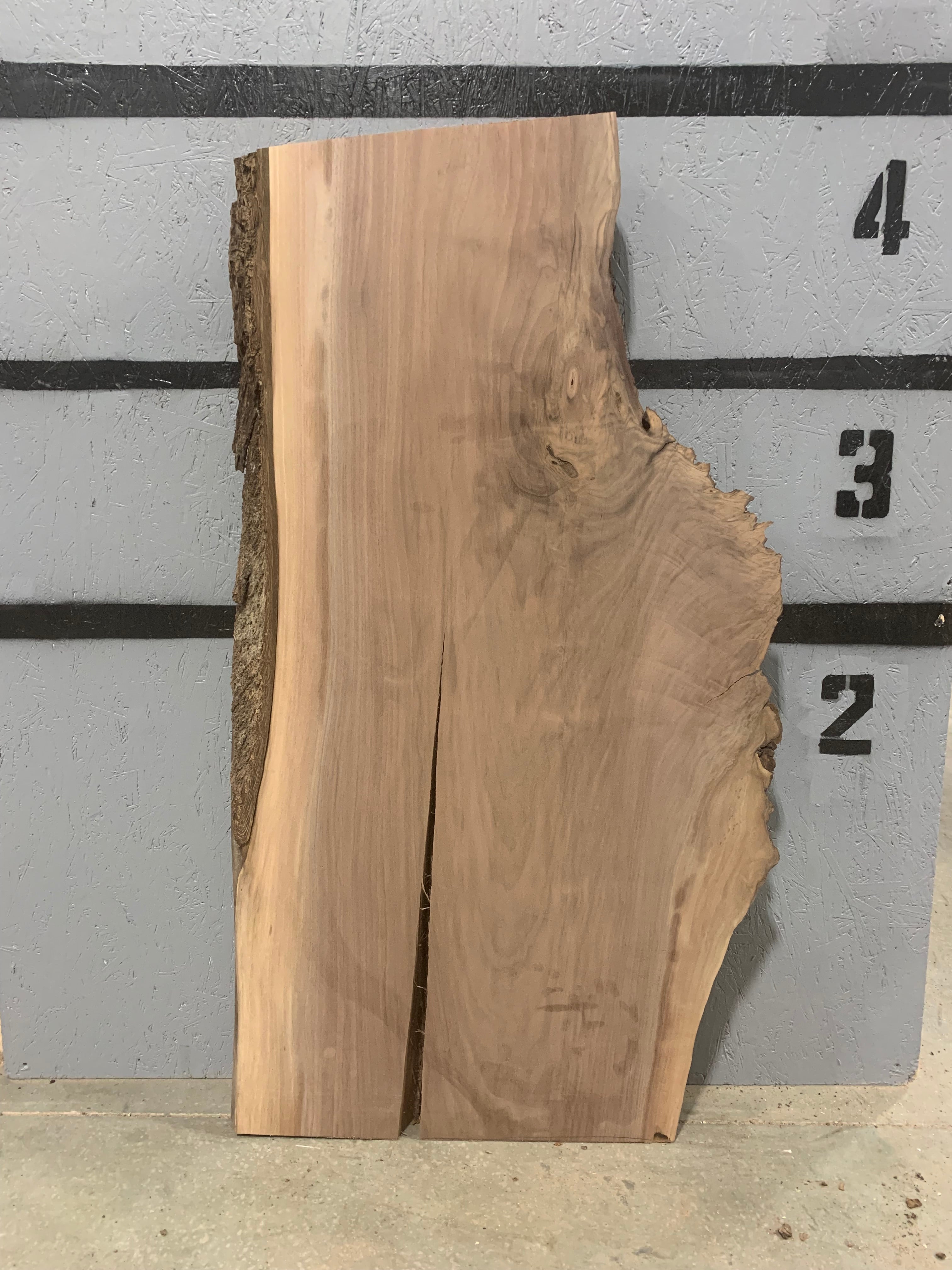 Black Walnut Slab | W283
