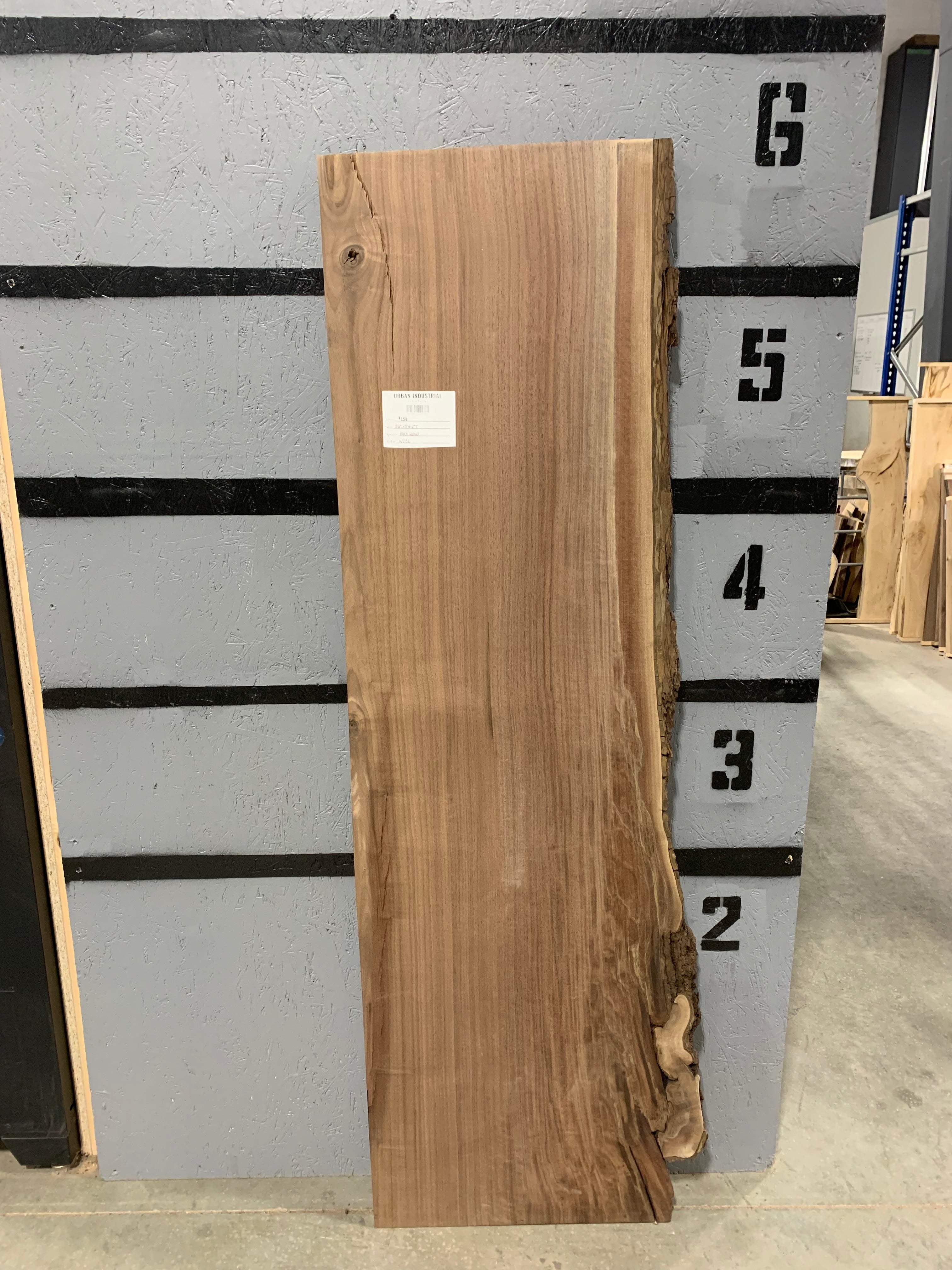 Black Walnut Slab | W286