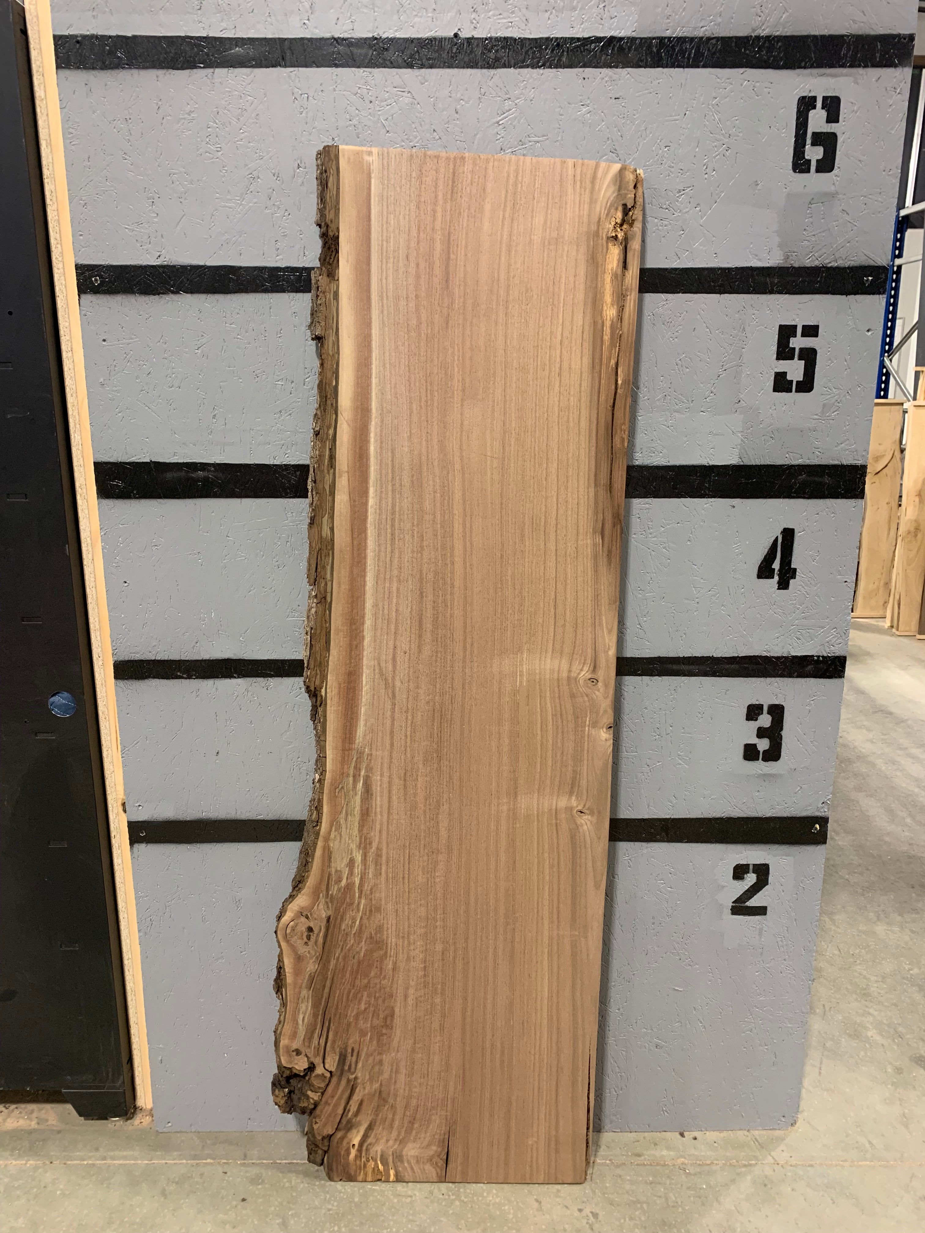 Black Walnut Slab | W286