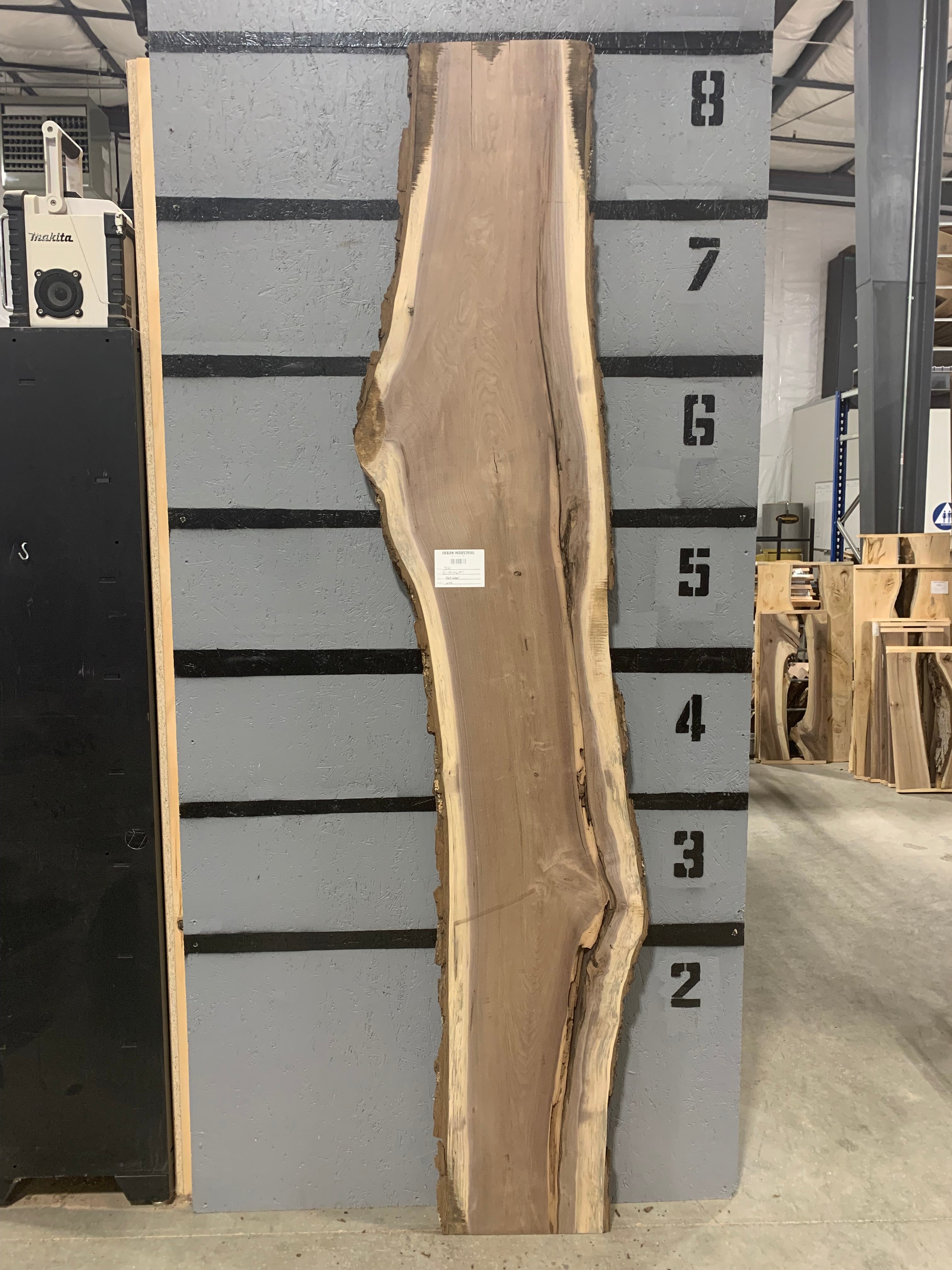 Black Walnut Slab | W315