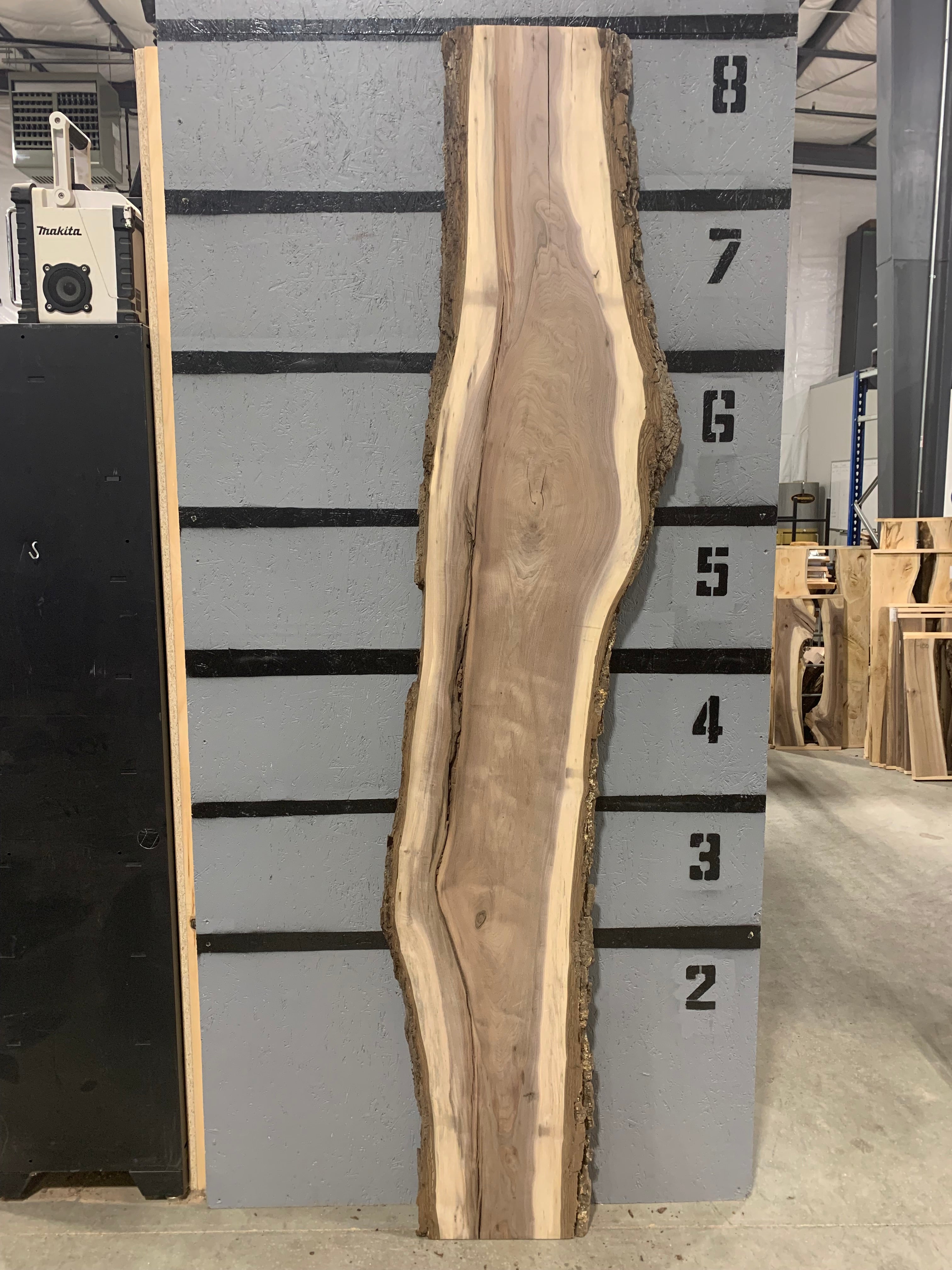 Black Walnut Slab | W315
