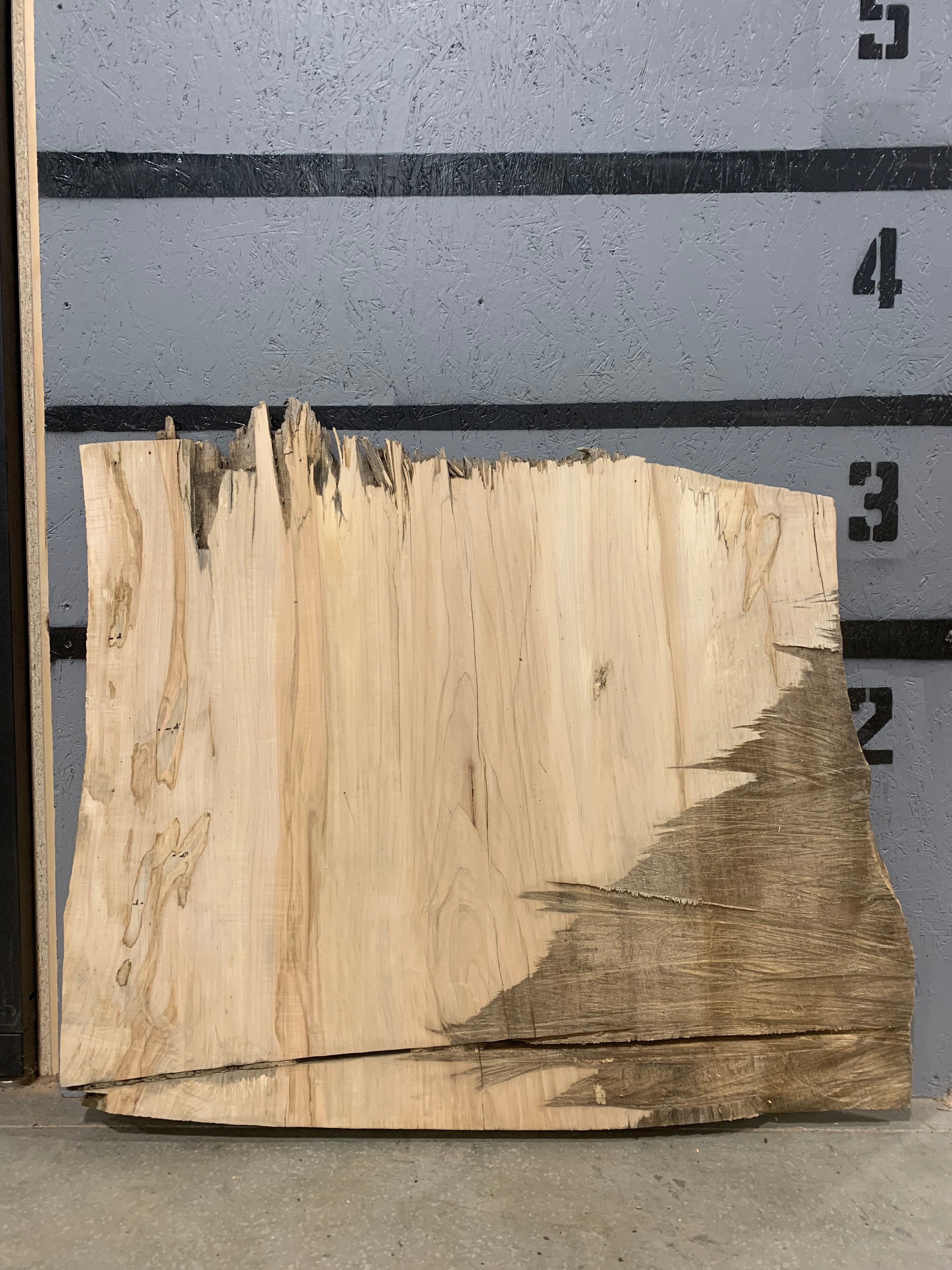 Spalted Maple Slab - Burl - CNC Flattened | W336