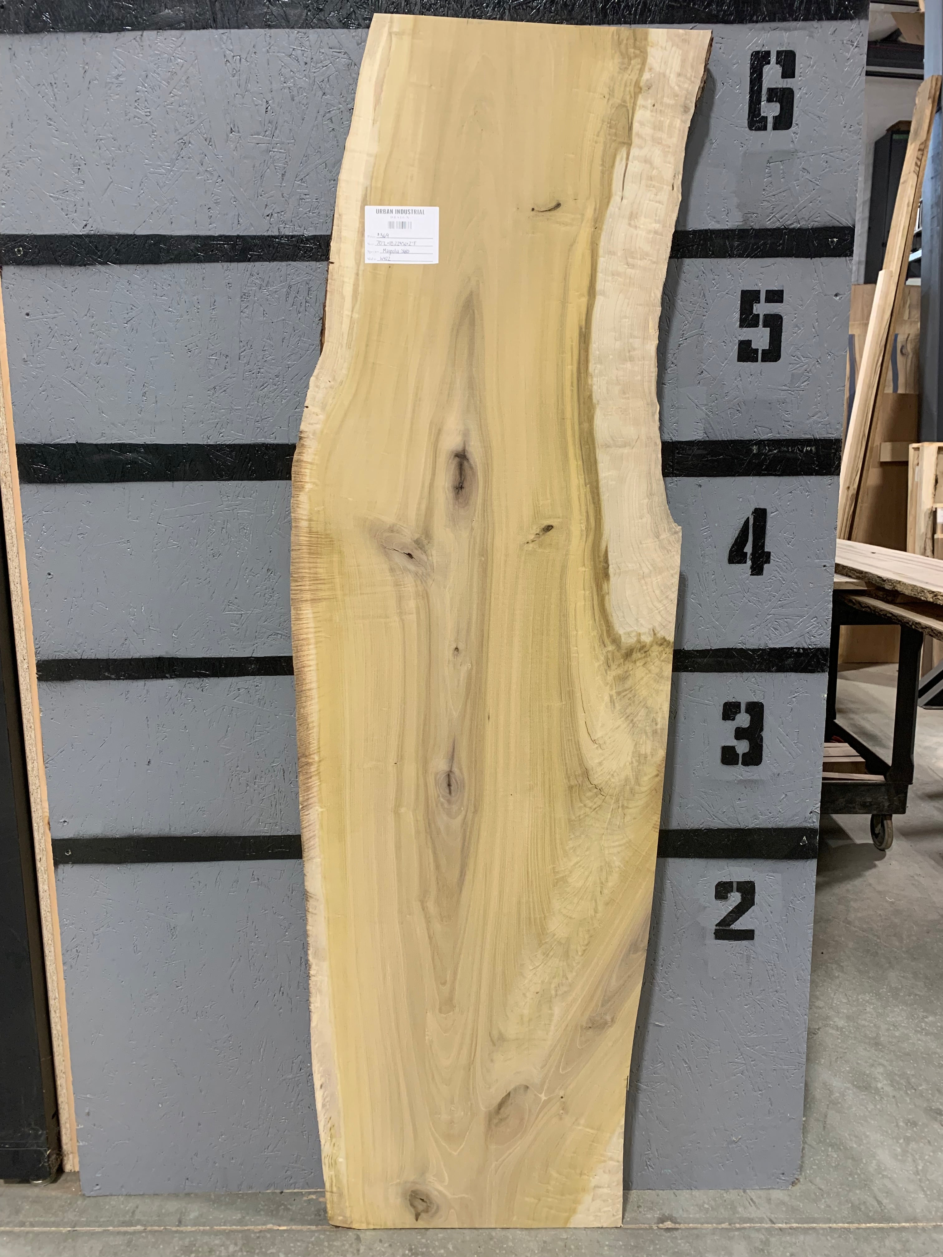 Magnolia Slab | W422