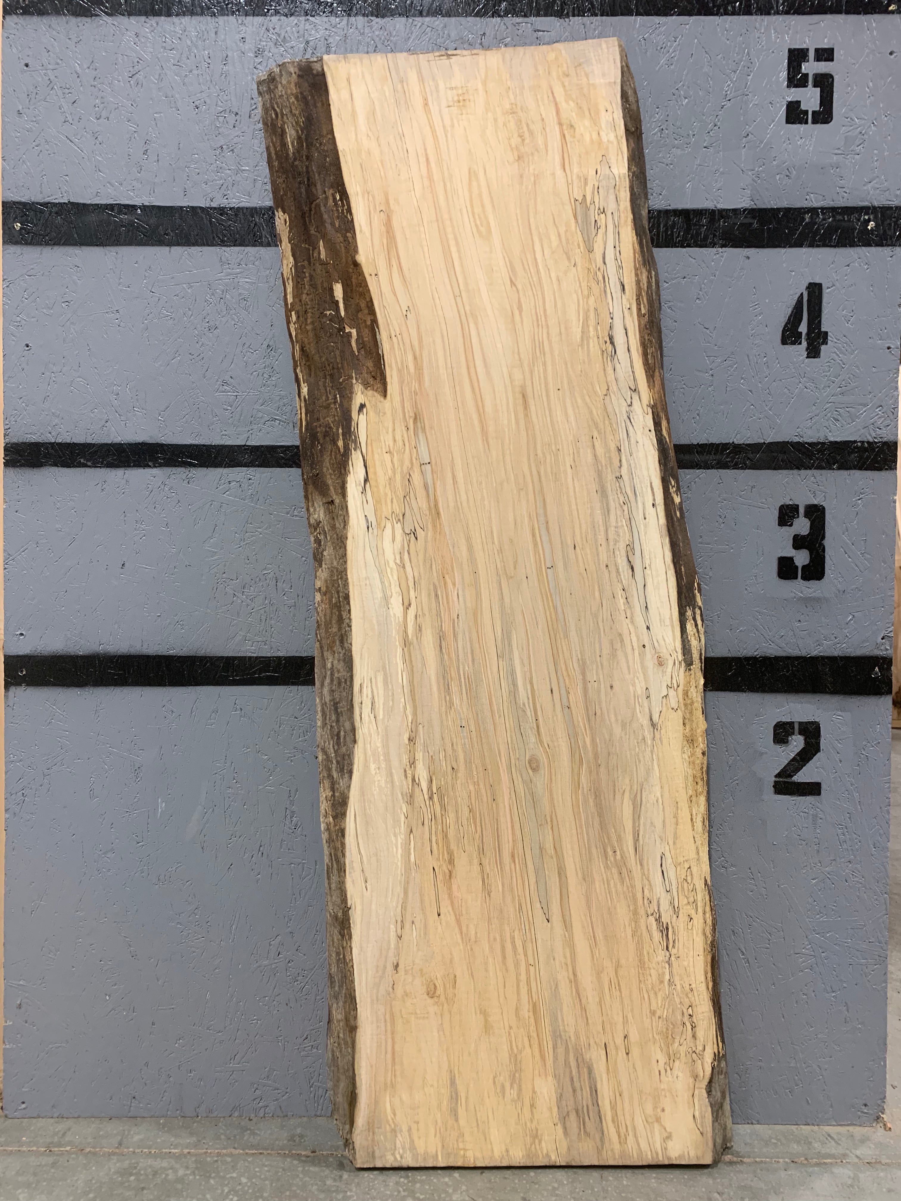 Maple Slab - Spalted | W532