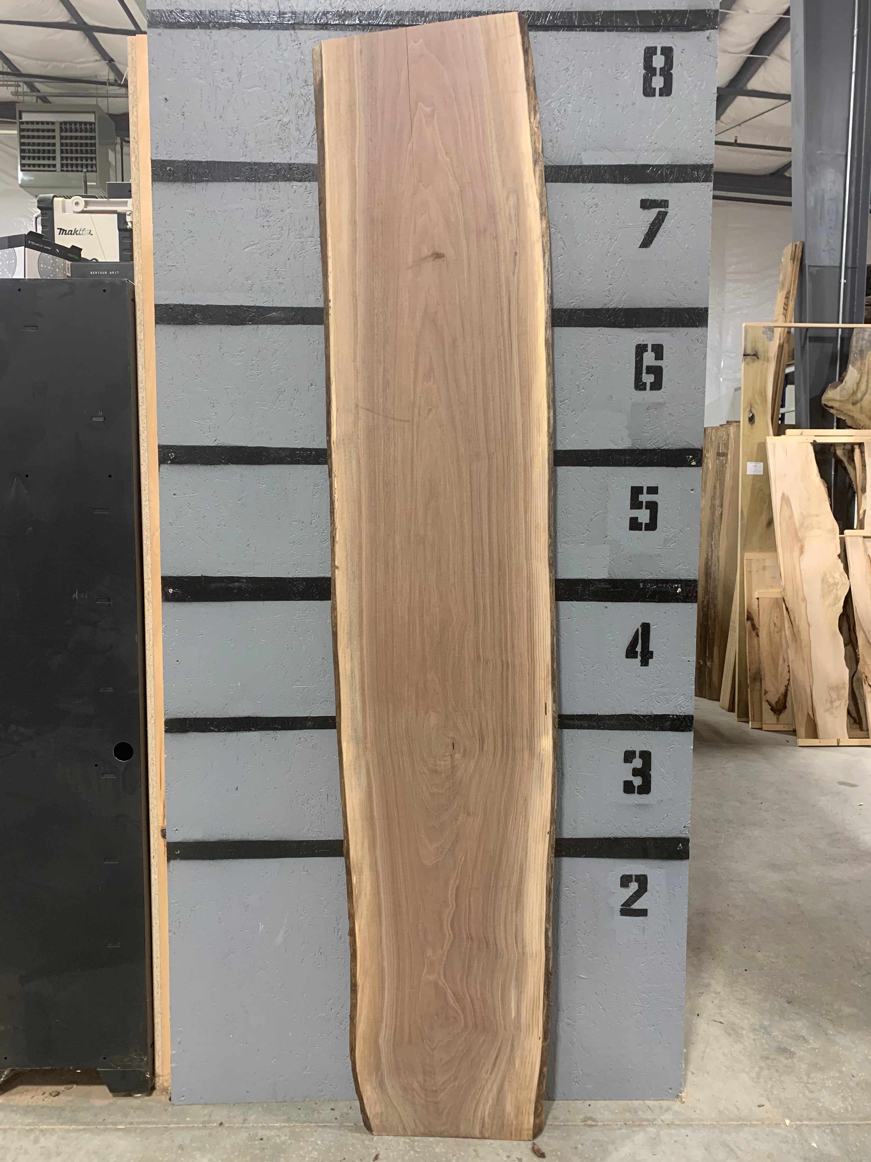 Black Walnut Slab | W540