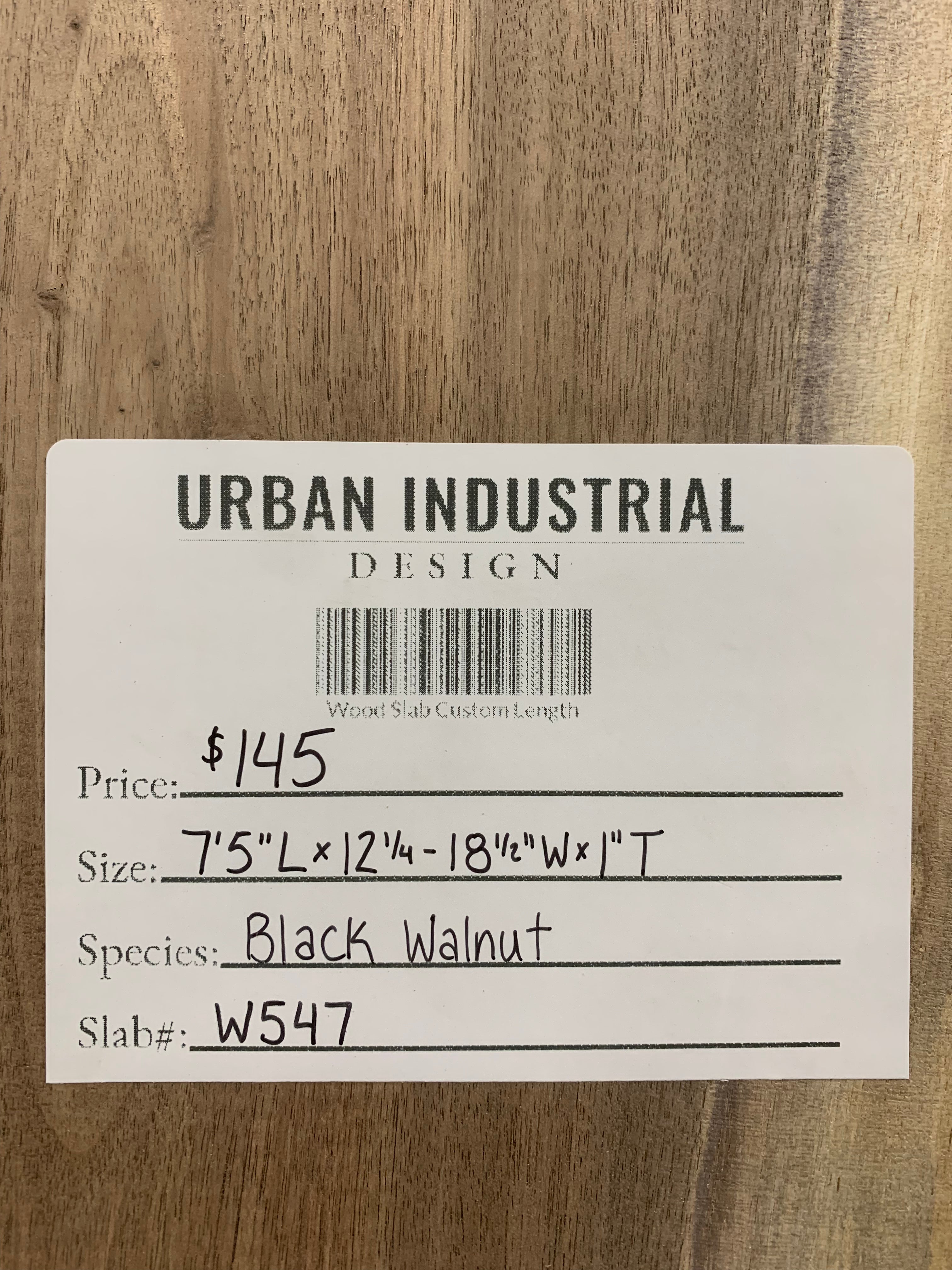 Black Walnut Slab | W547