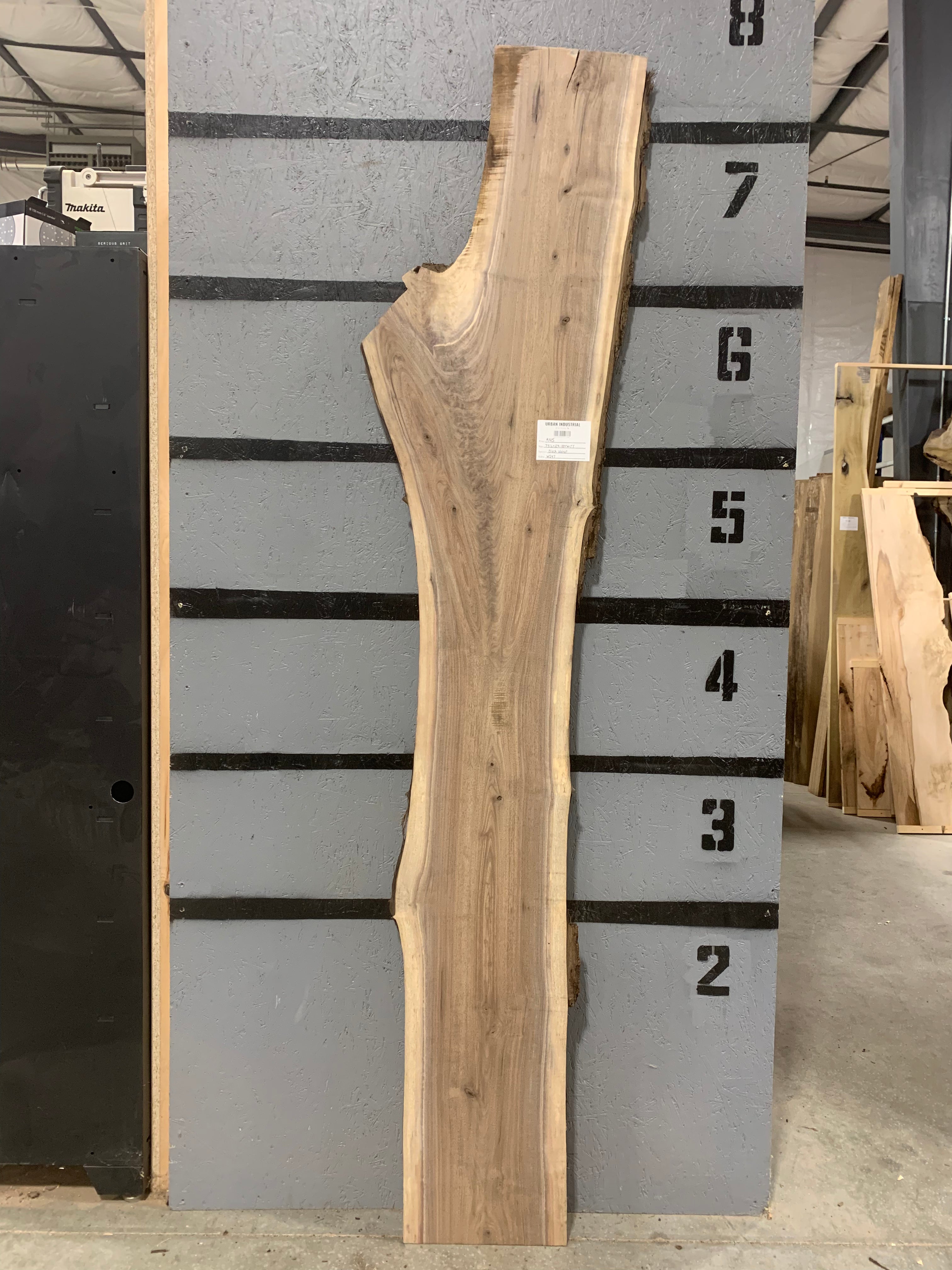 Black Walnut Slab | W547