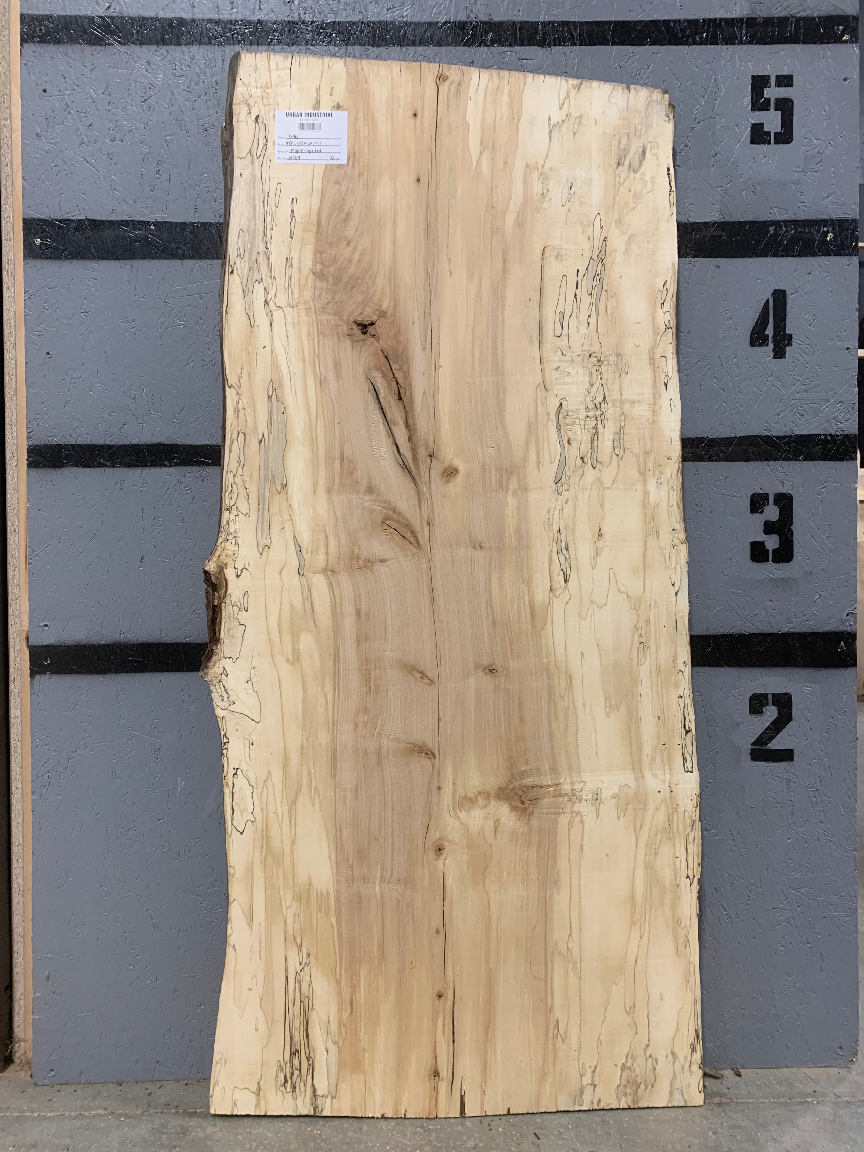 Maple - Spalted | W569