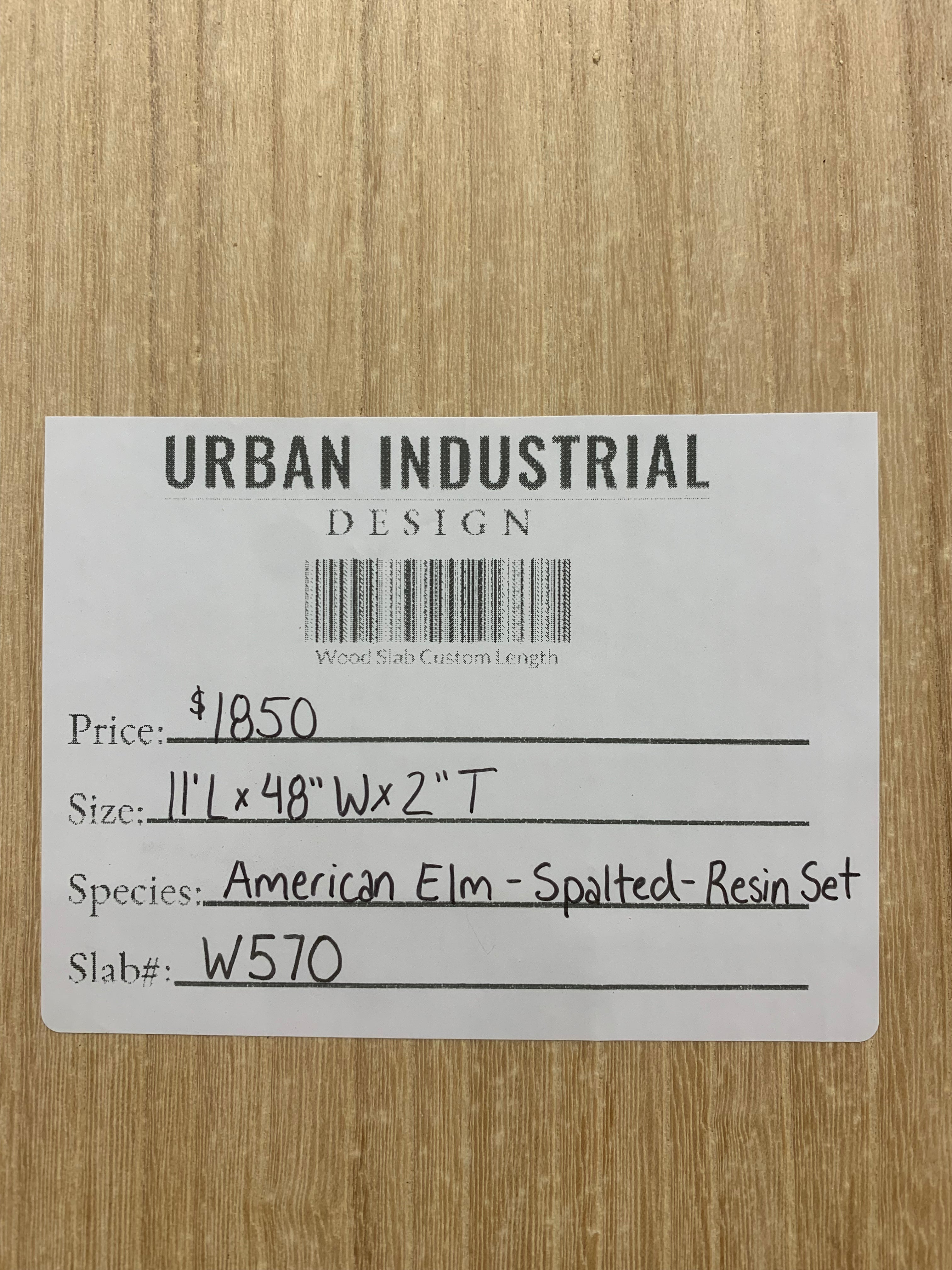 American Elm Slab - Spalted - Resin Set | W570