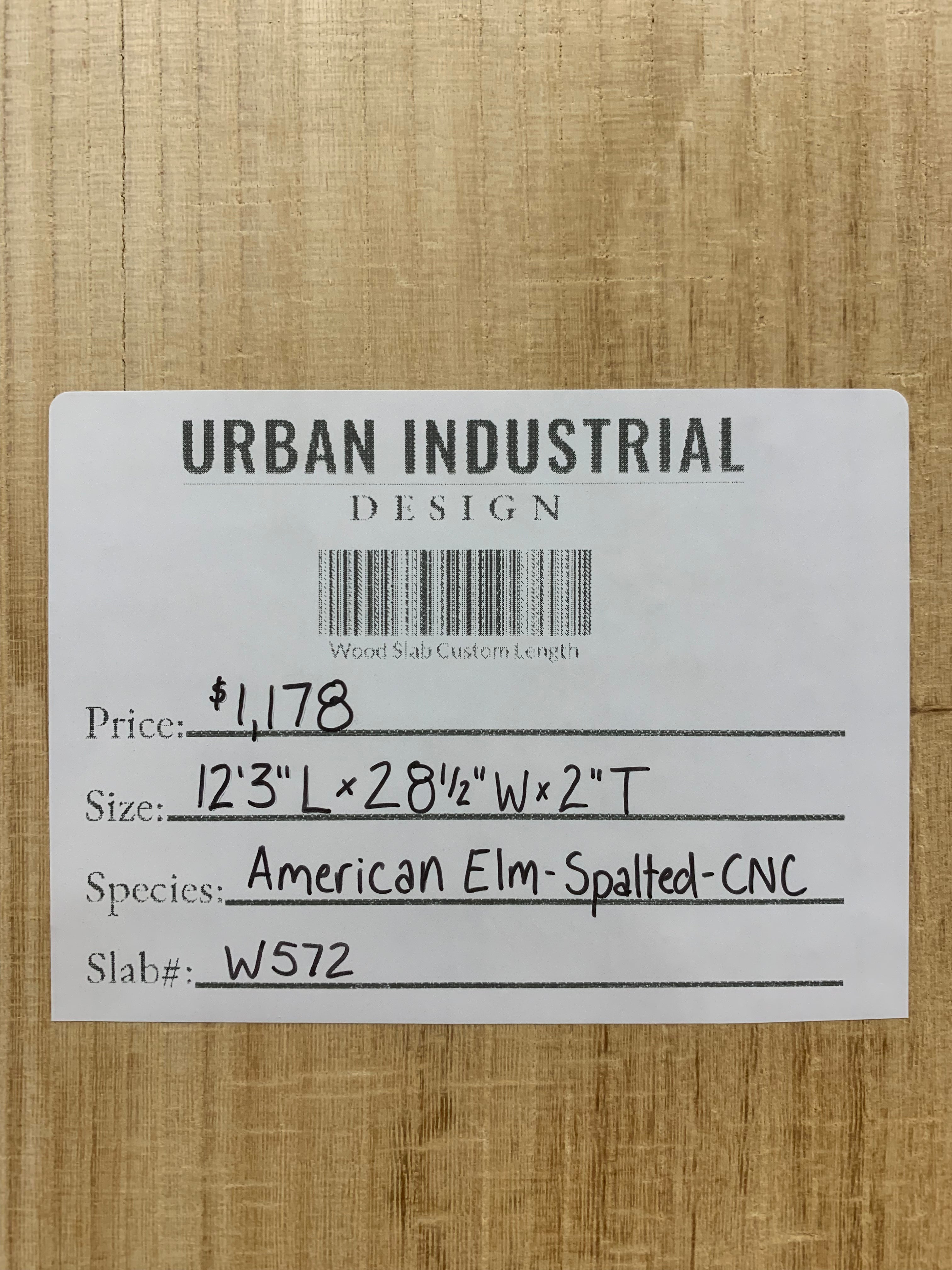 American Elm Slab - Spalted - CNC Flattened | W572