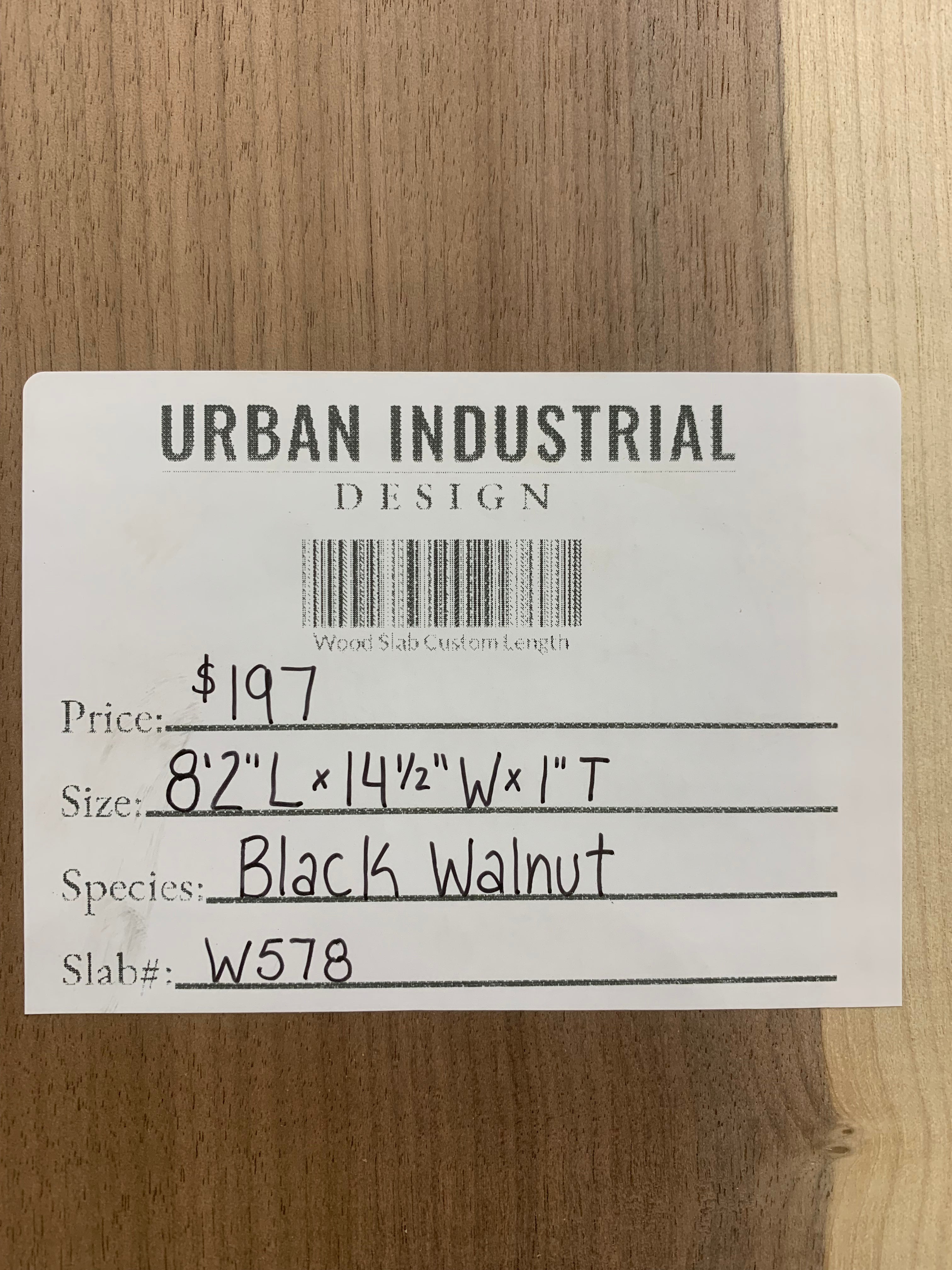 Black Walnut Slab | W578
