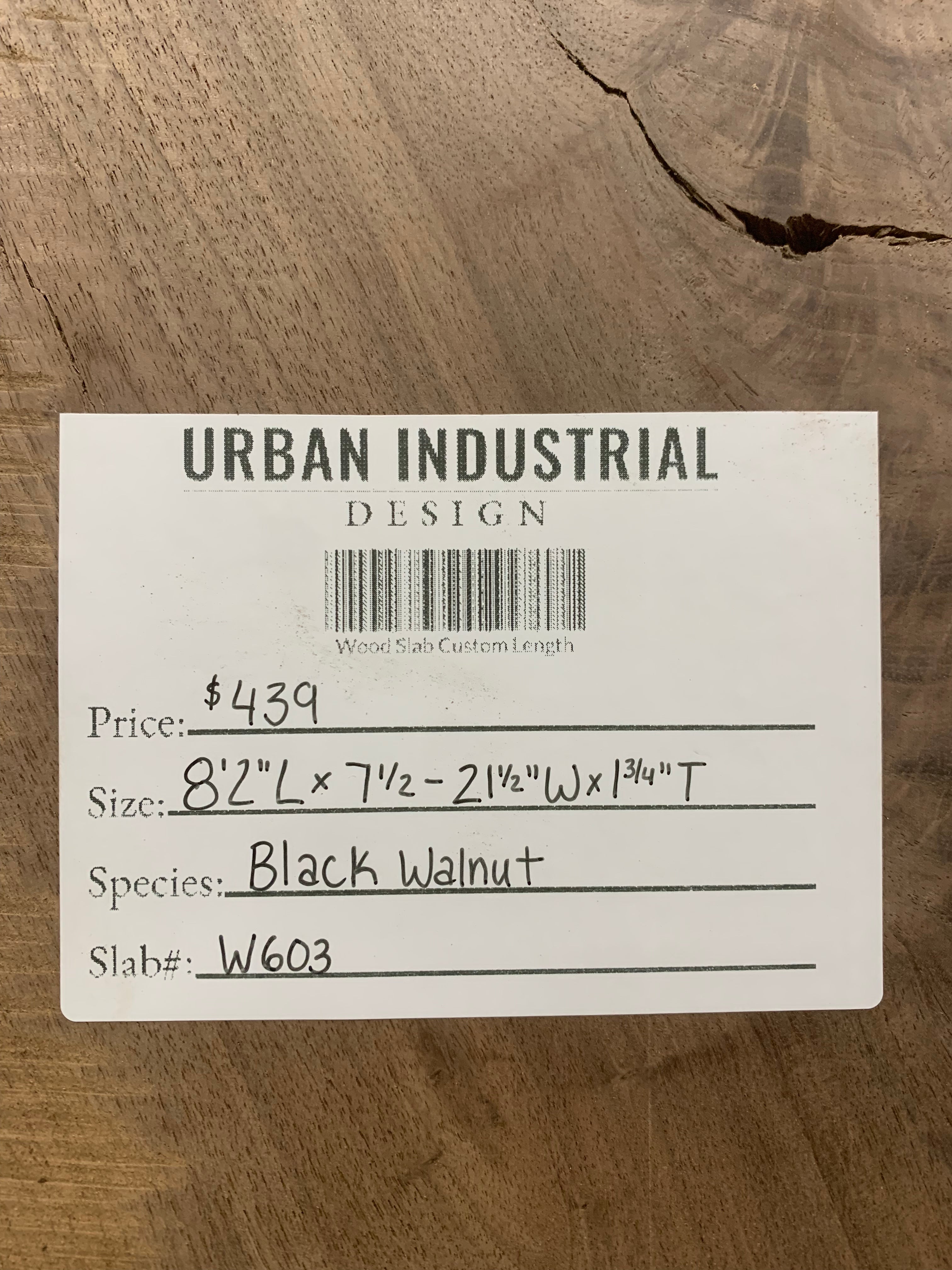 Black Walnut Slab | W603