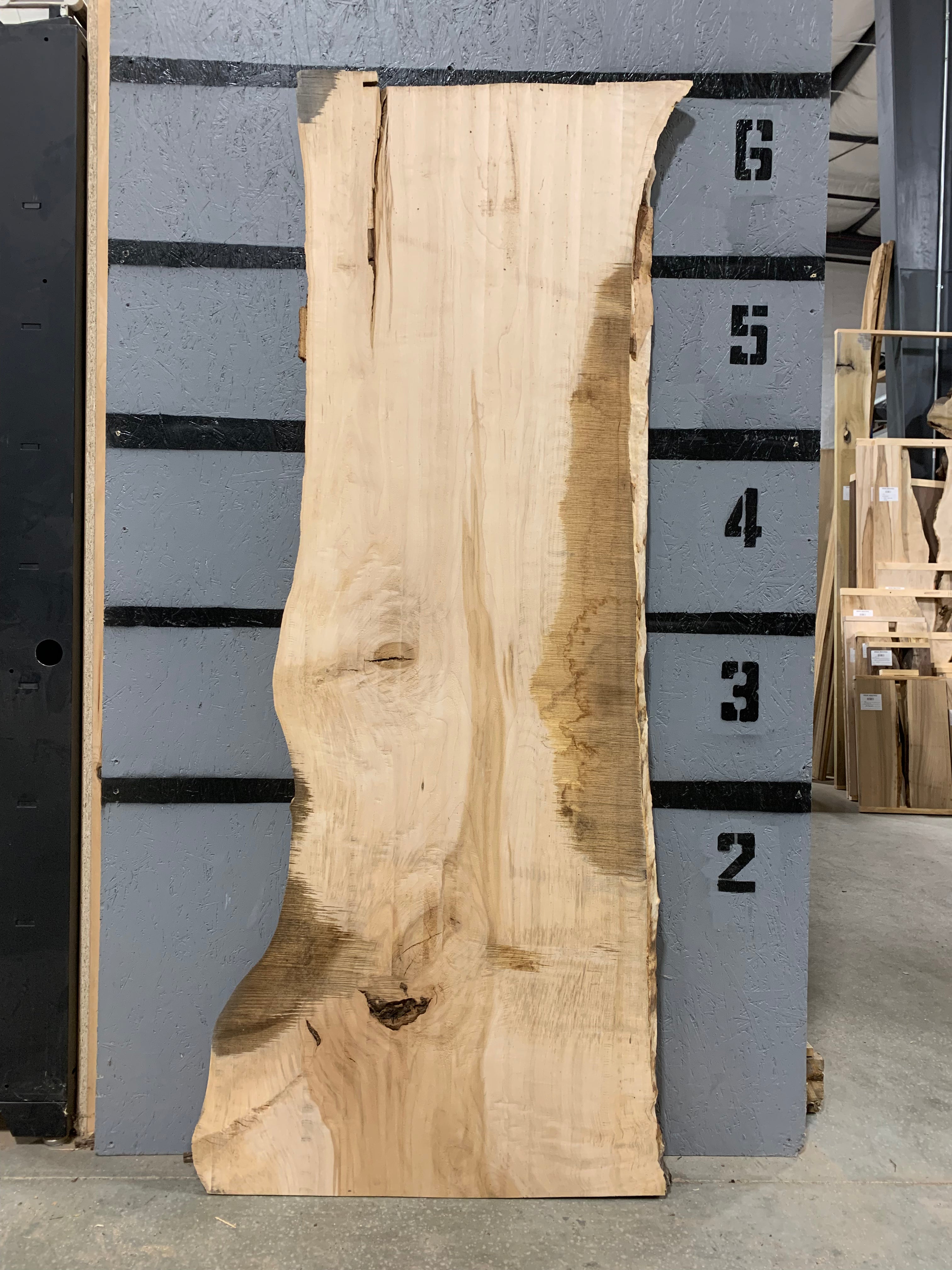 Maple Slab - CNC Flattened | W615
