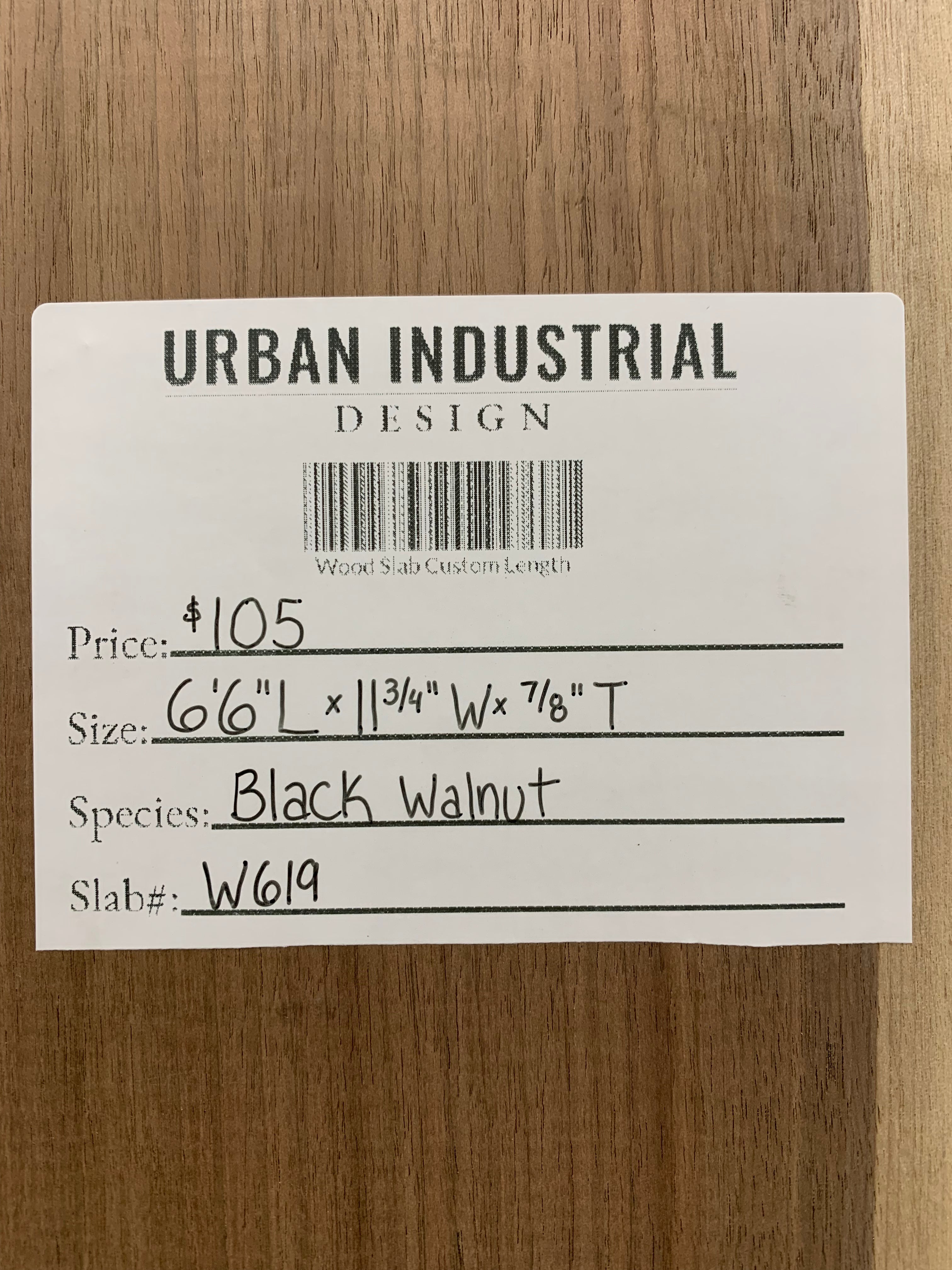 Black Walnut Slab | W619